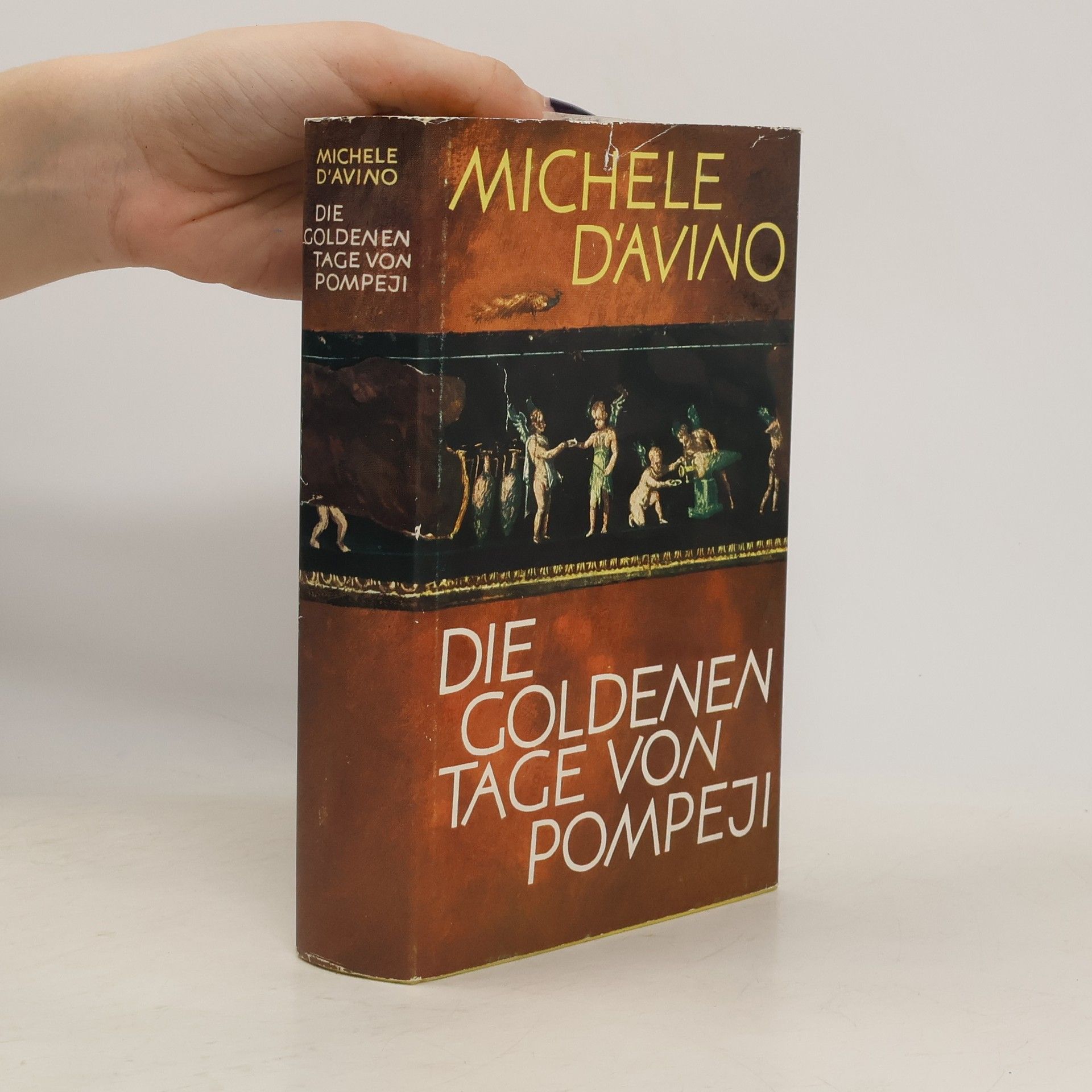 Michele D´Avino Die goldenen Tage von Pompeji