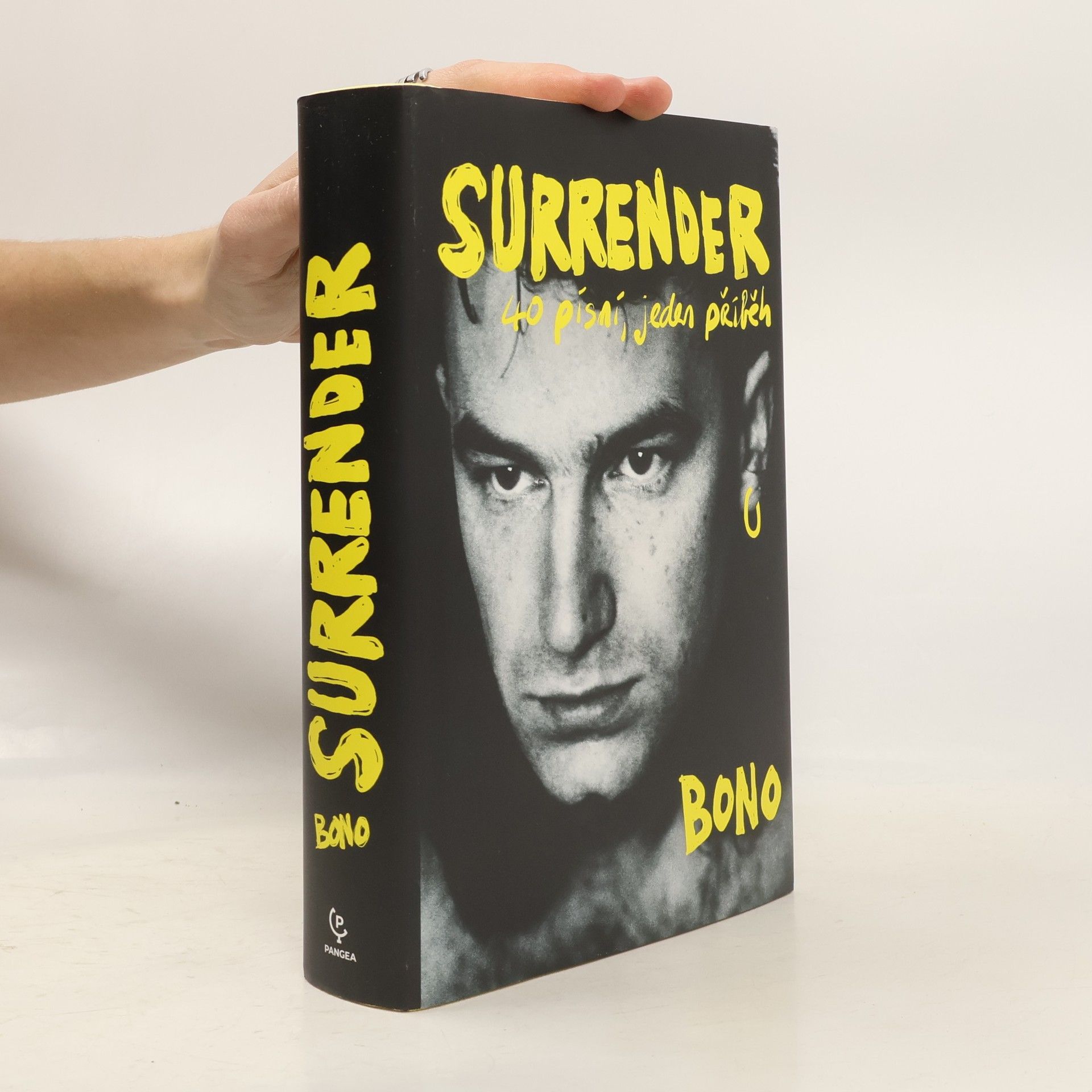 Surrender : 40 písní, jeden příběh