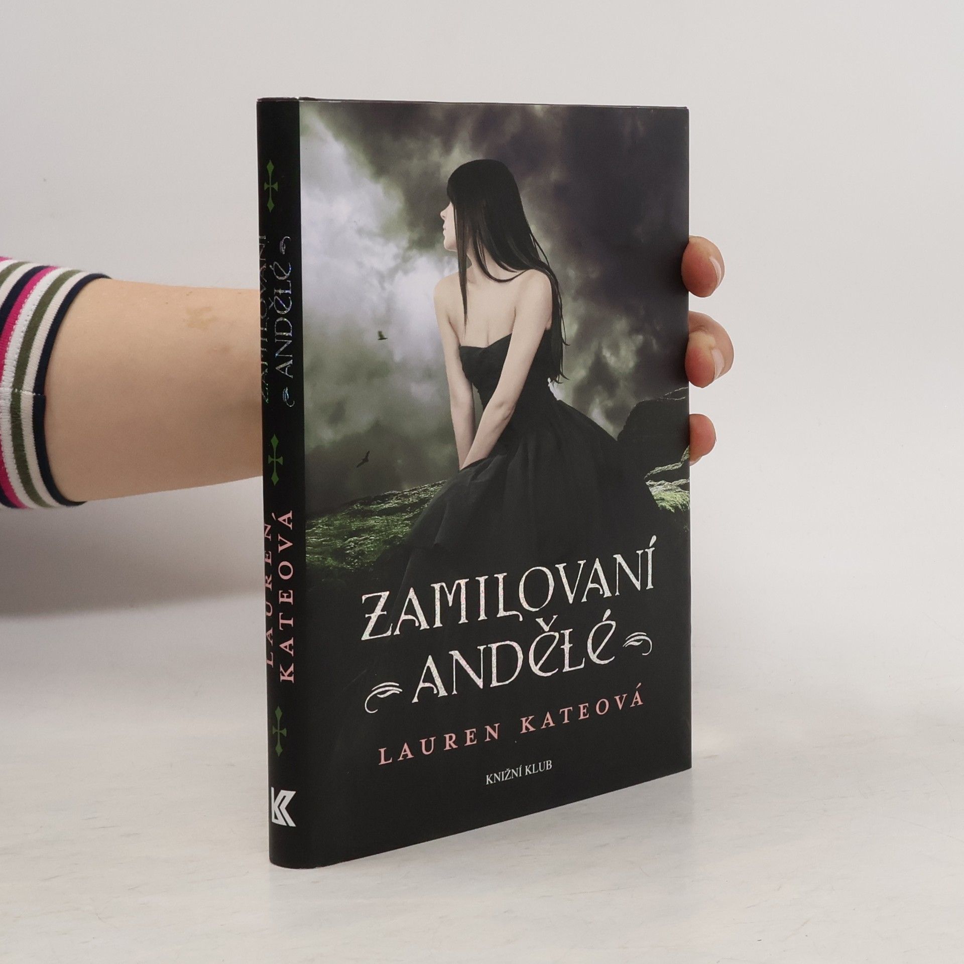 Lauren Kate Zamilovaní andělé