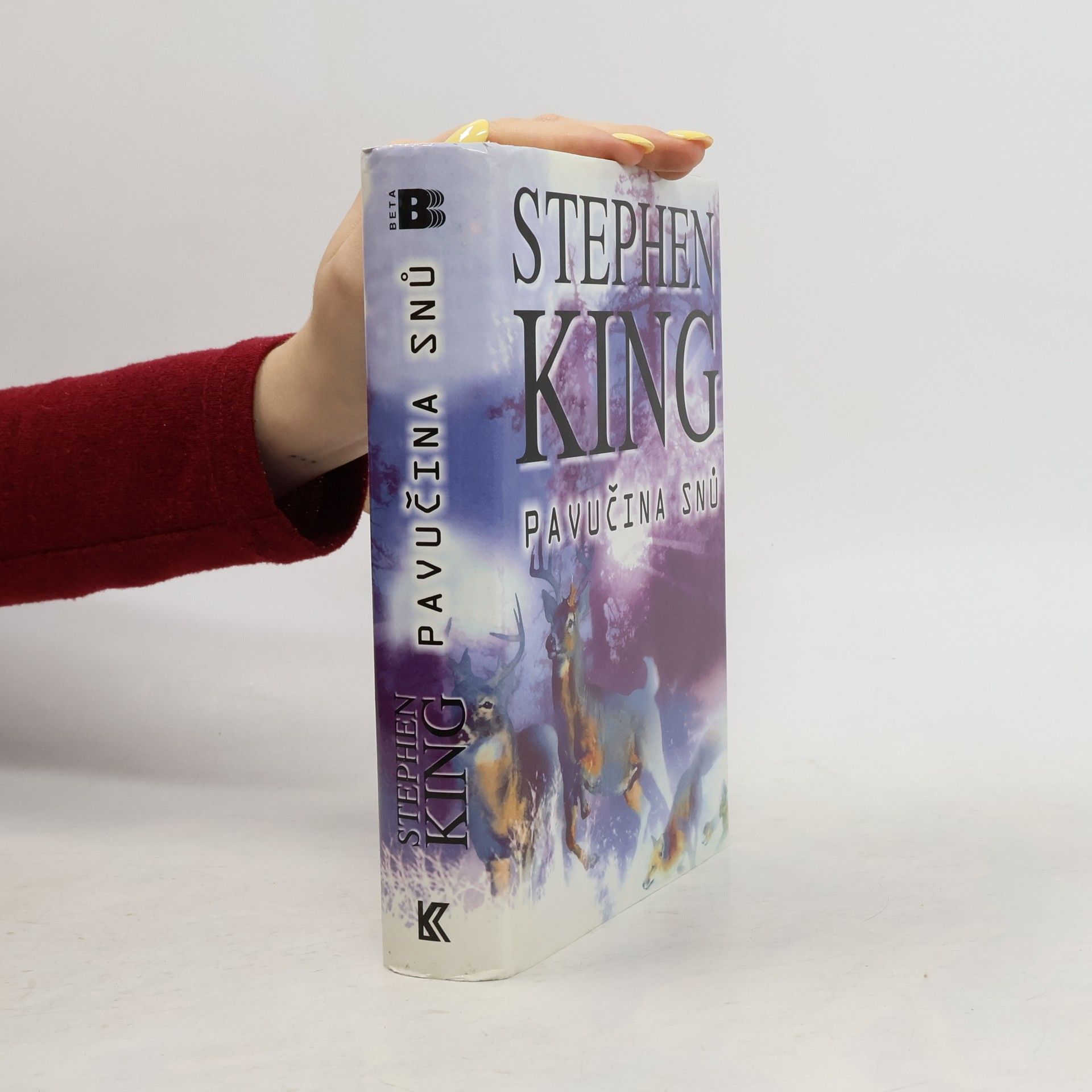 Stephen King Pavučina snů