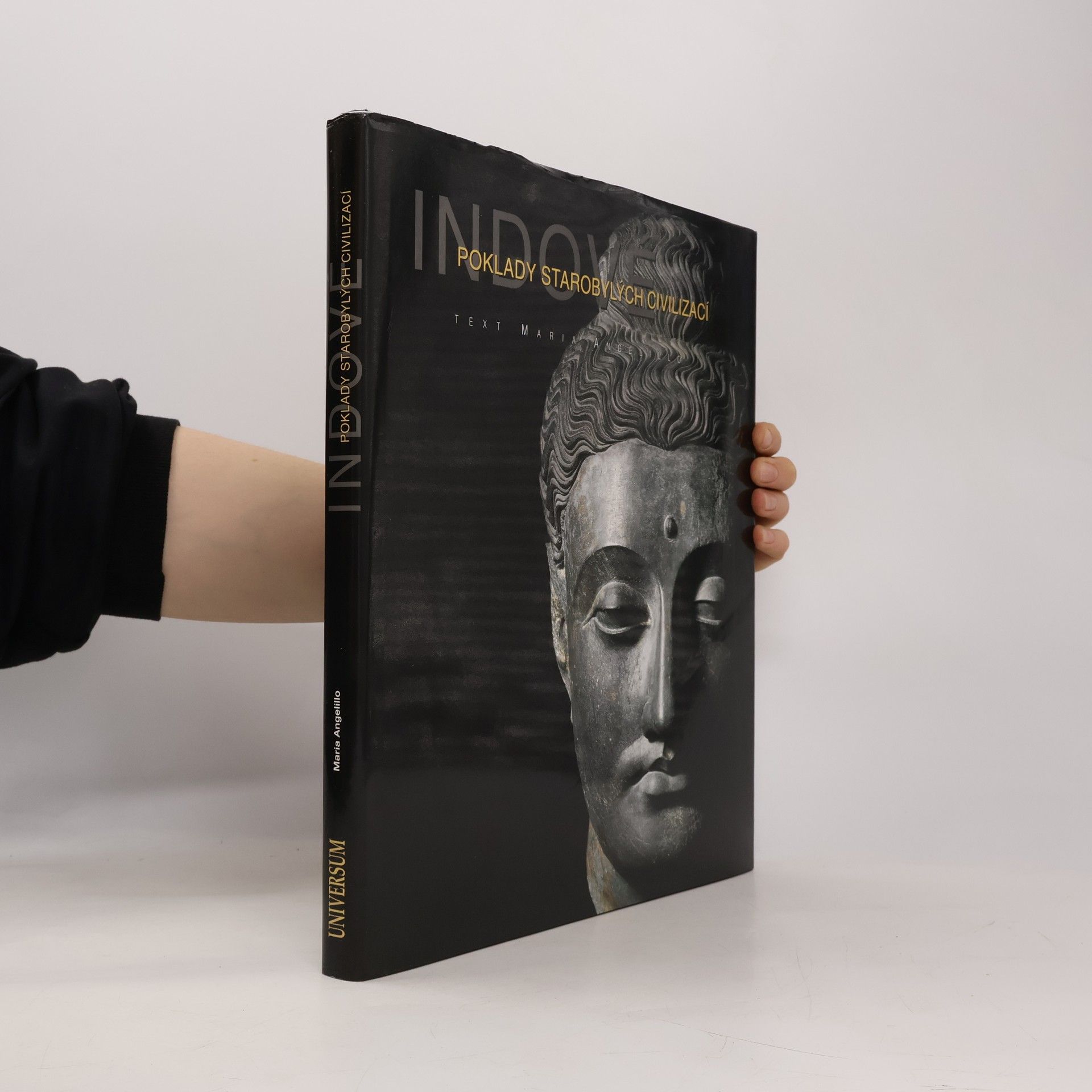 Maria Angelillo Indové. Poklady starobylých civilizací