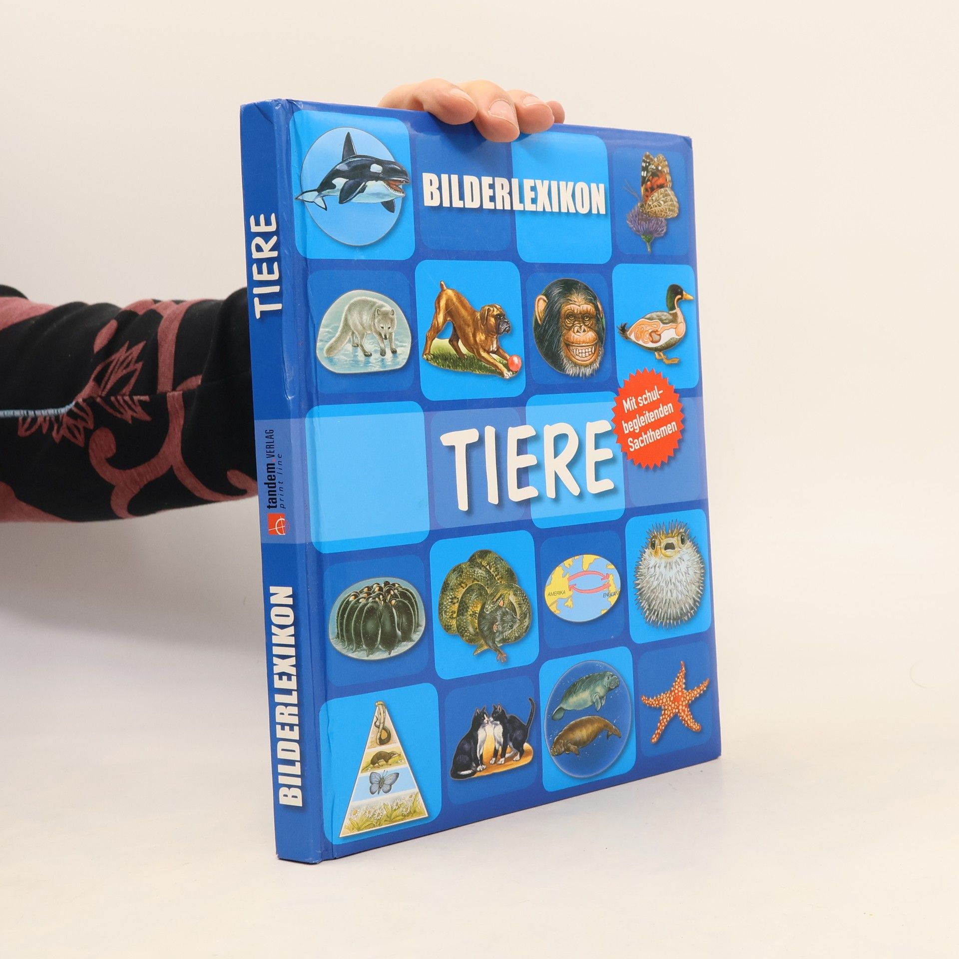 Kolektív autorov Bilderlexikon. Tiere
