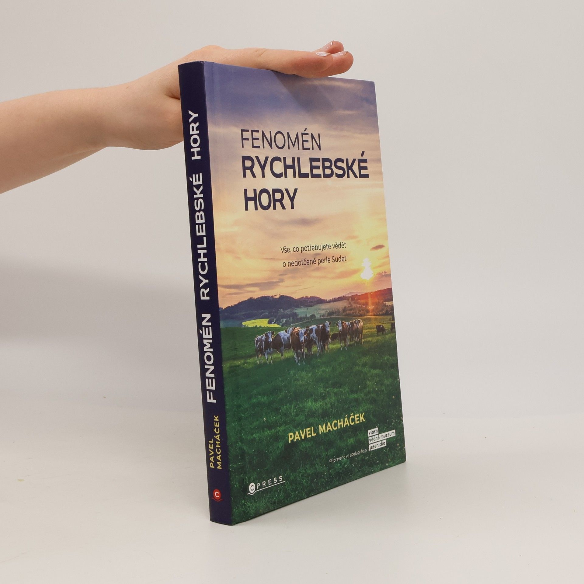 Fenomén Rychlebské hory