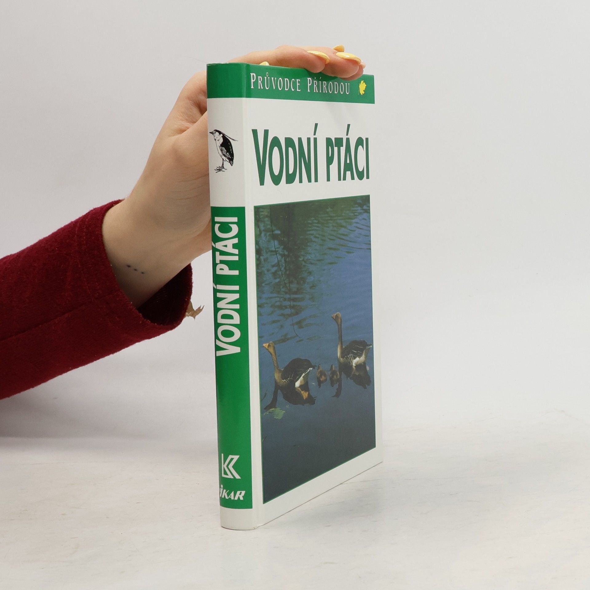 Sauer Frieder Vodní ptáci