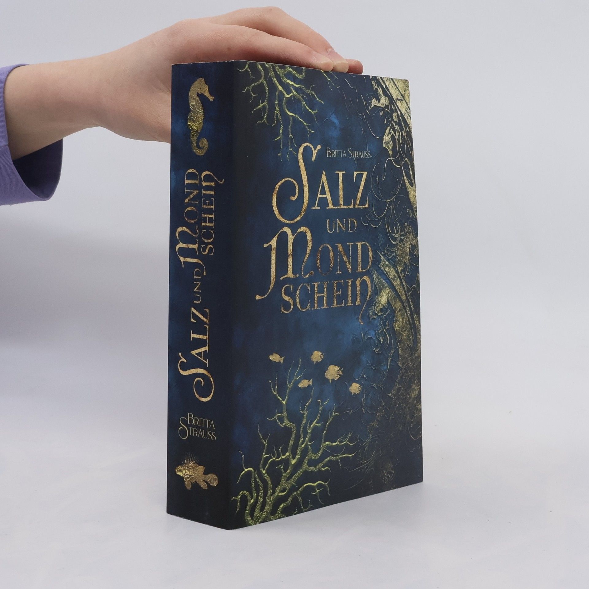 Britta Strauss Salz und Mondschein