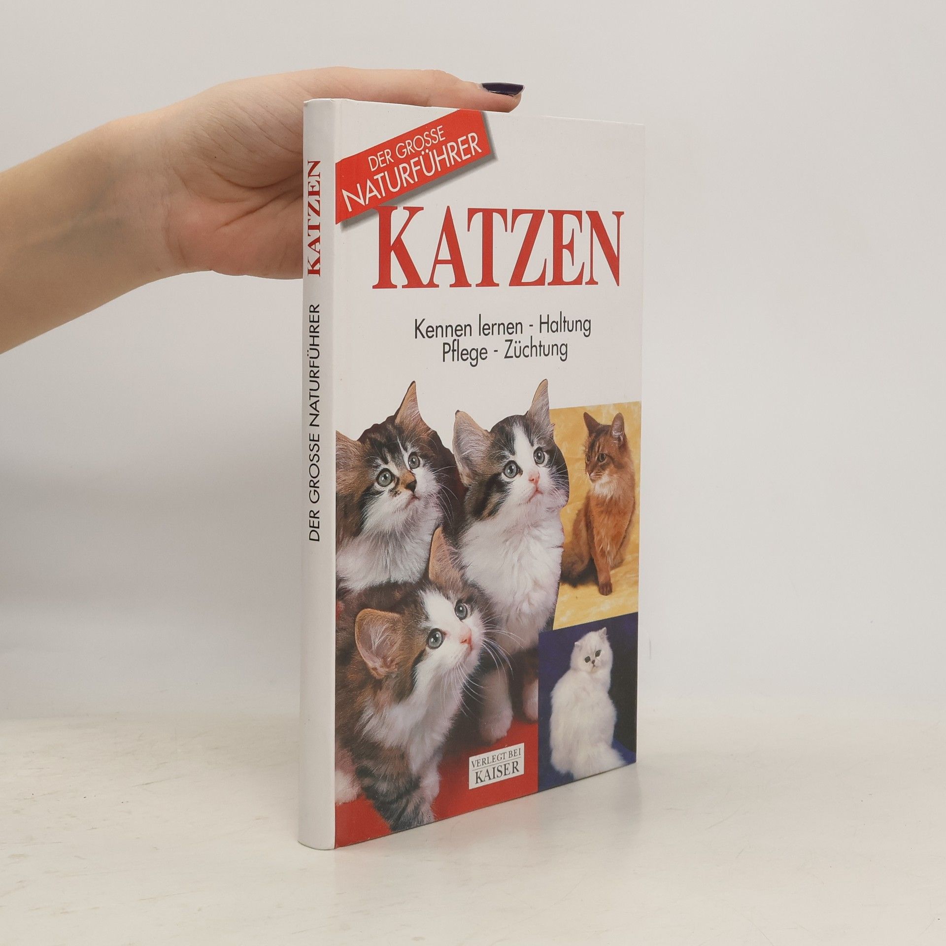 Kolektiv autorů Katzen. Kennen lernen, Haltung, Pflege, Züchtung