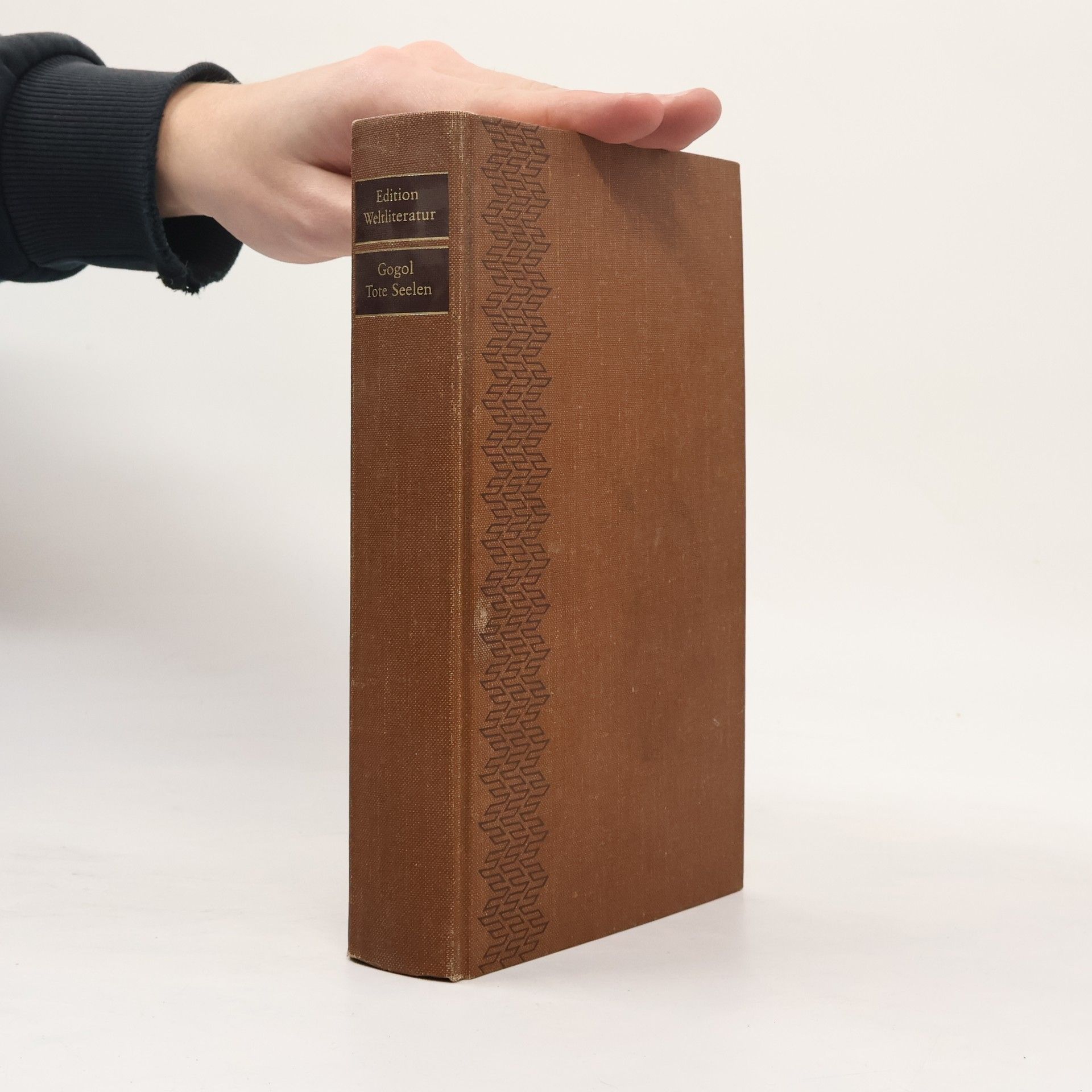 Nikolai Gogol Tote Seelen