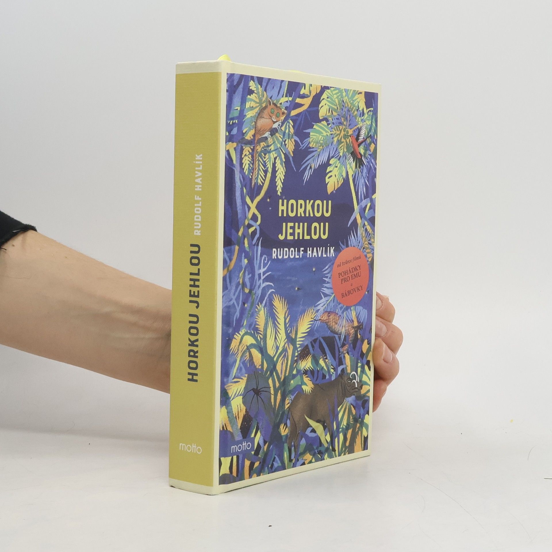 Rudolf Havlík Horkou jehlou