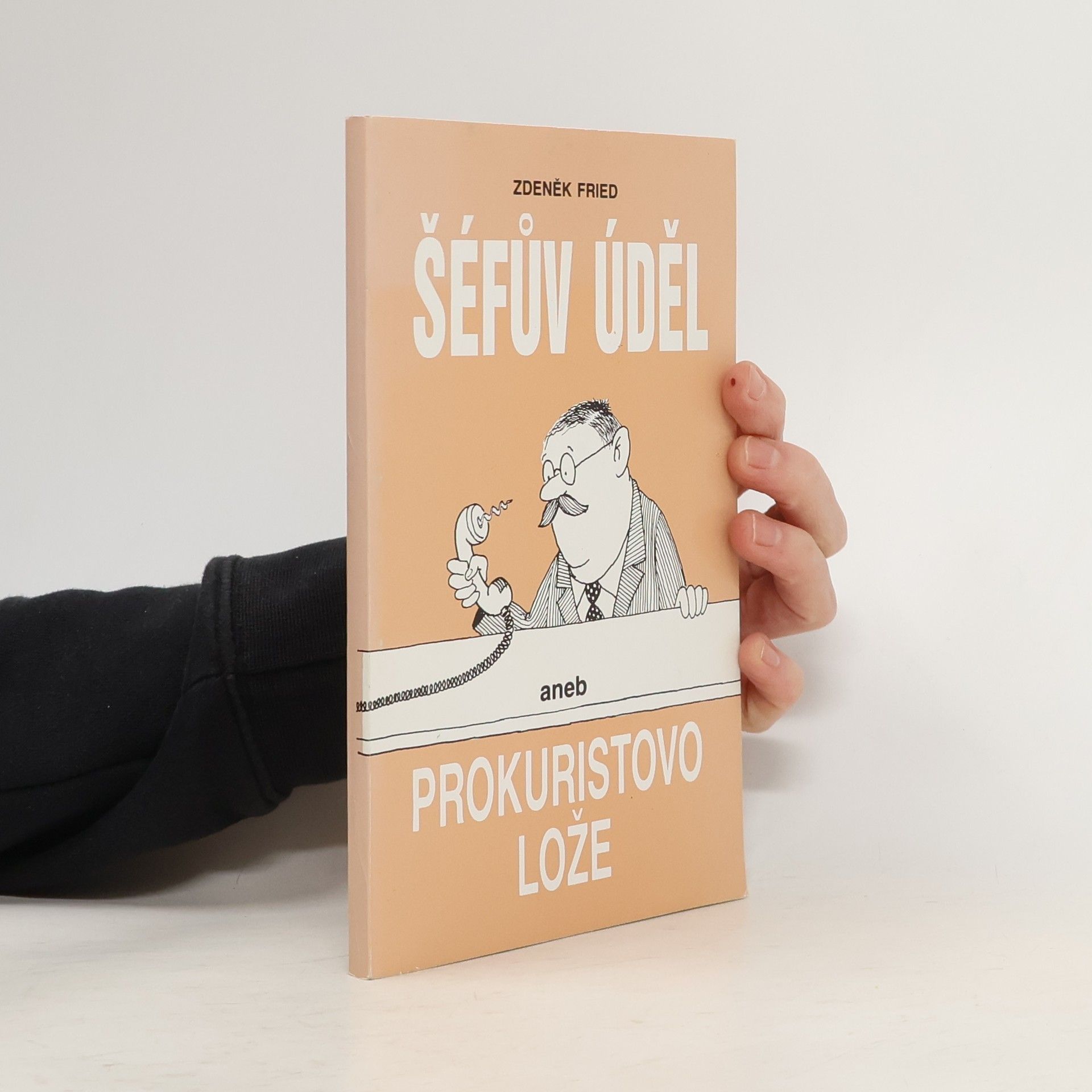 Zdeněk Fried Šéfův úděl aneb Prokuristovo lože
