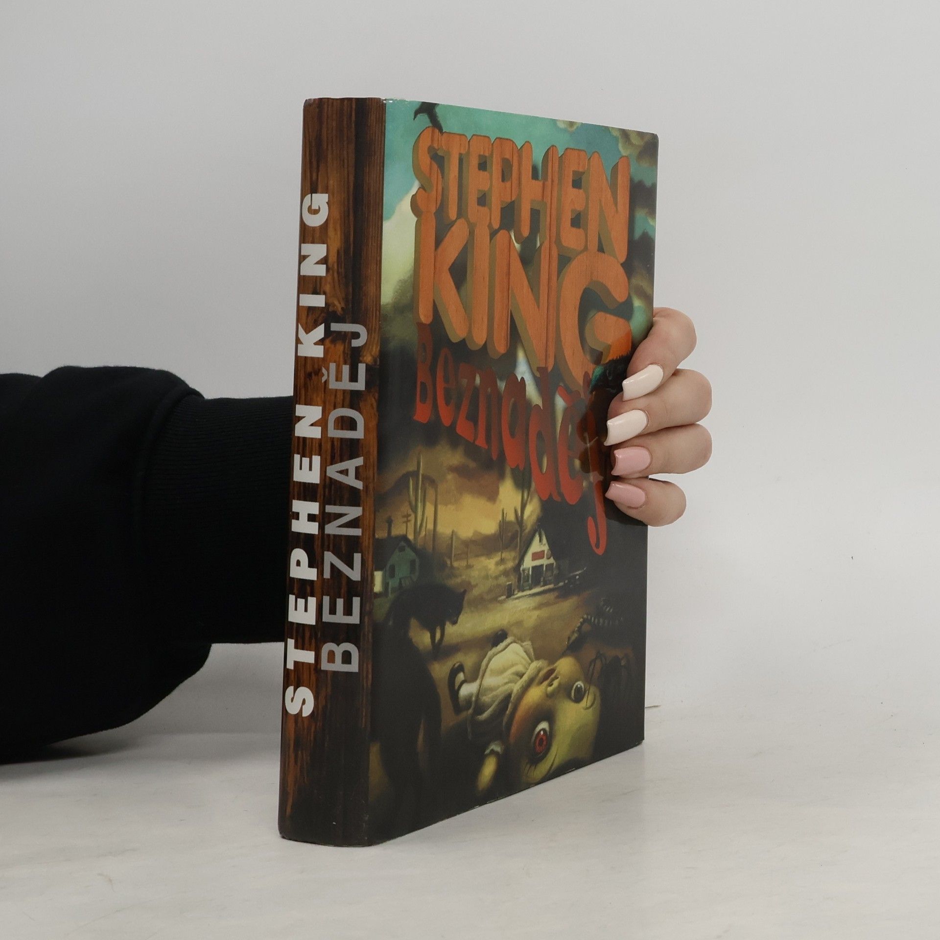 Stephen King Beznaděj