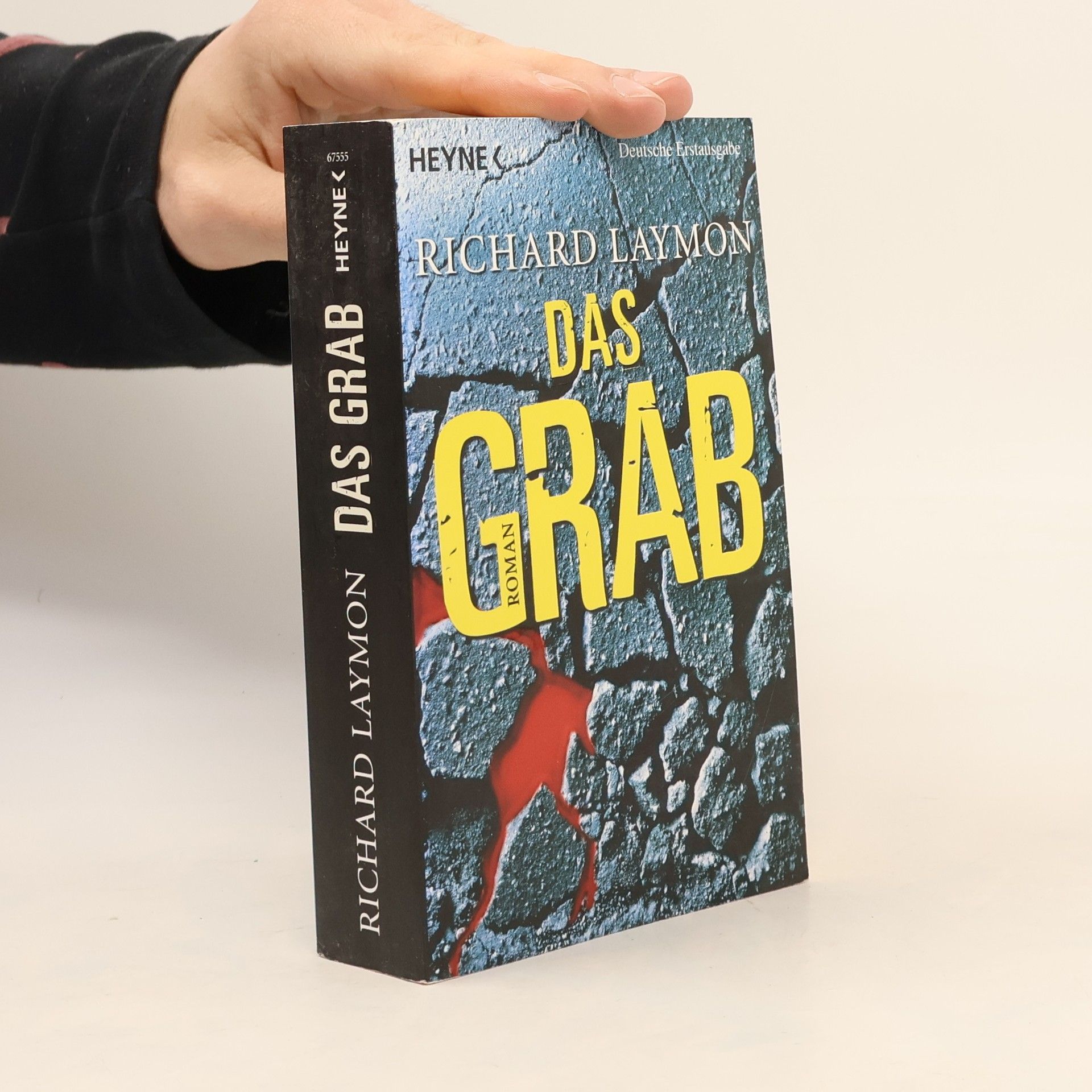 Richard Laymon Das Grab