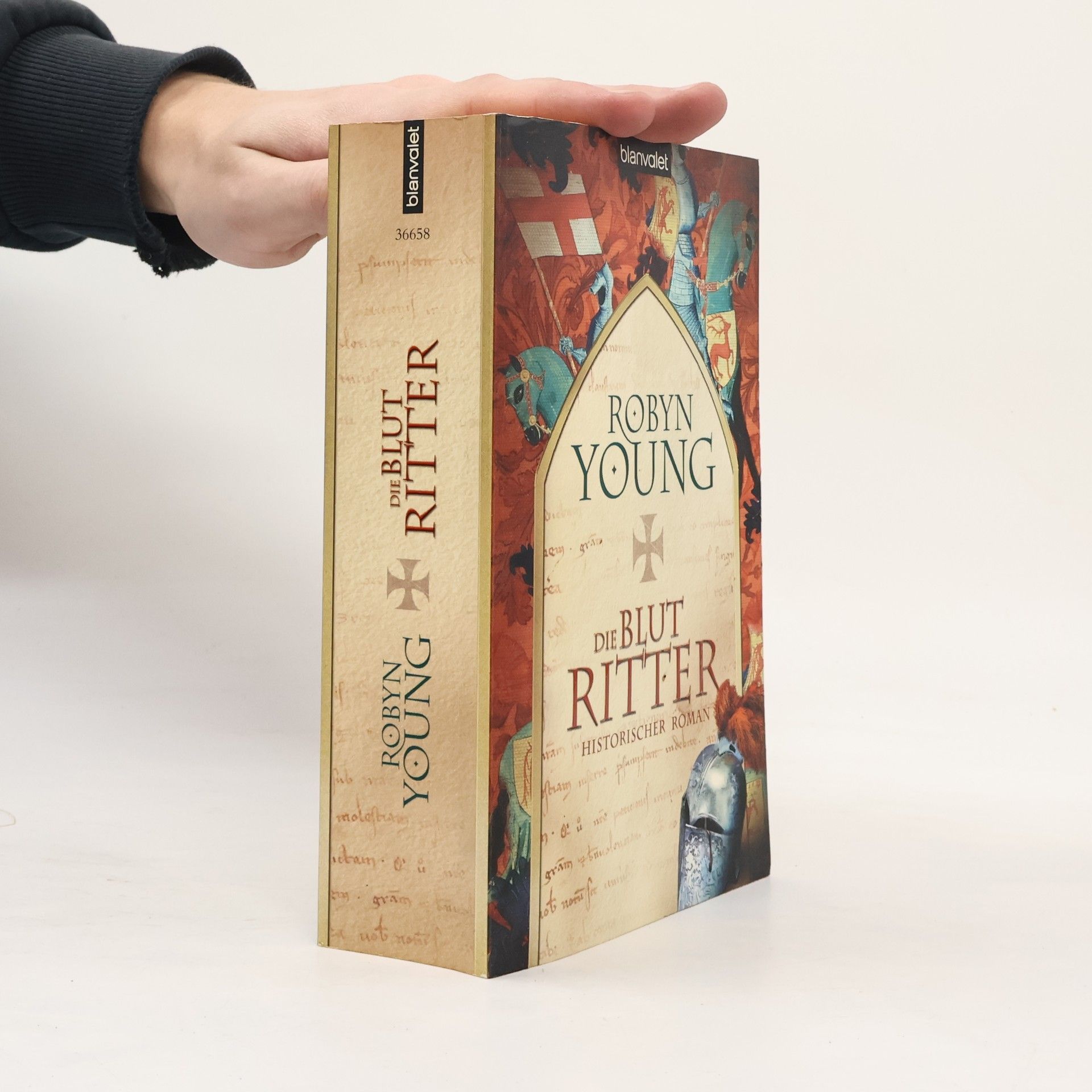 Robyn Young Die Blutritter