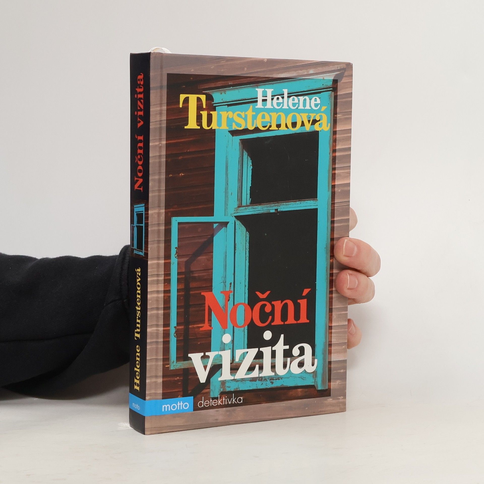 Helene Tursten Noční vizita