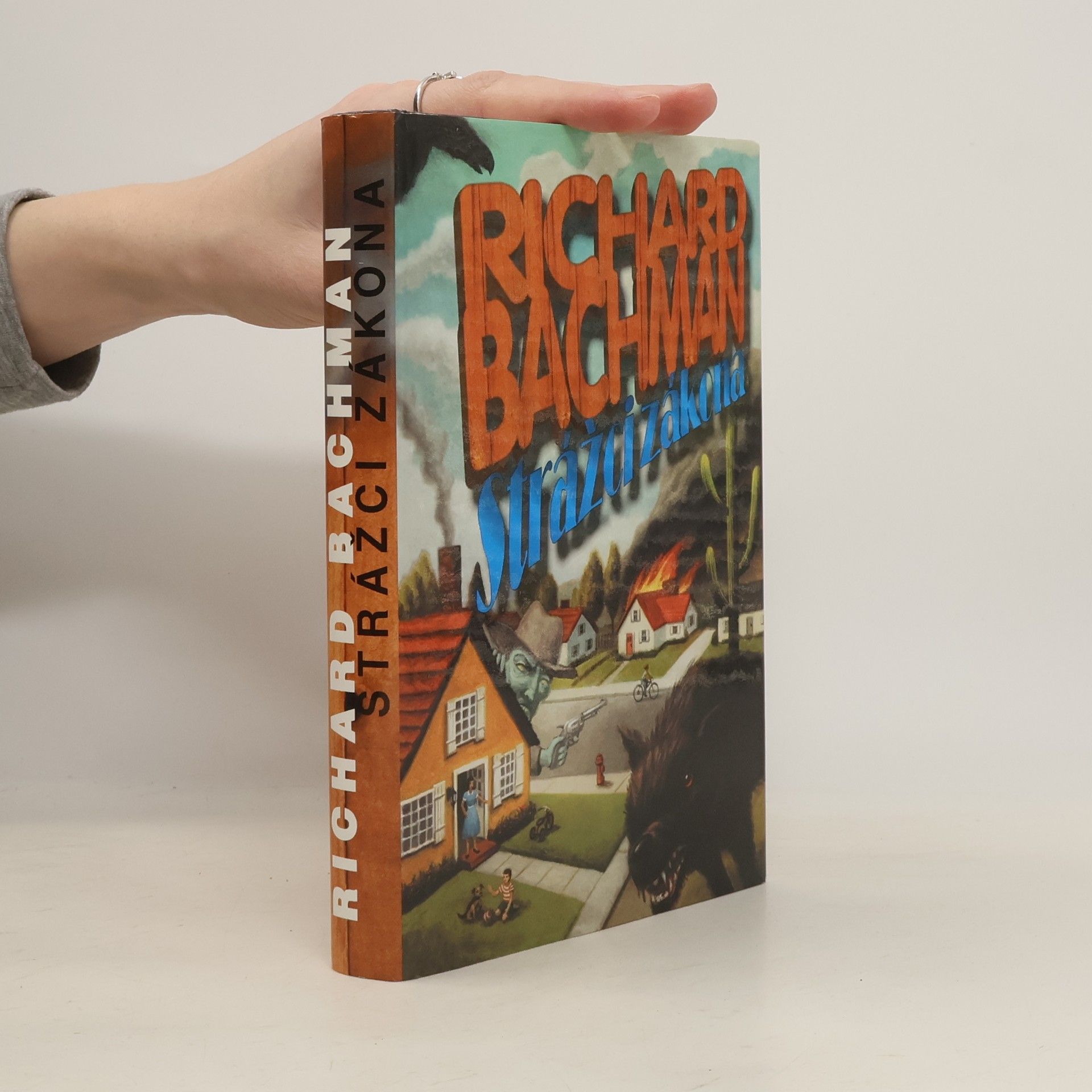 Stephen King Strážci zákona