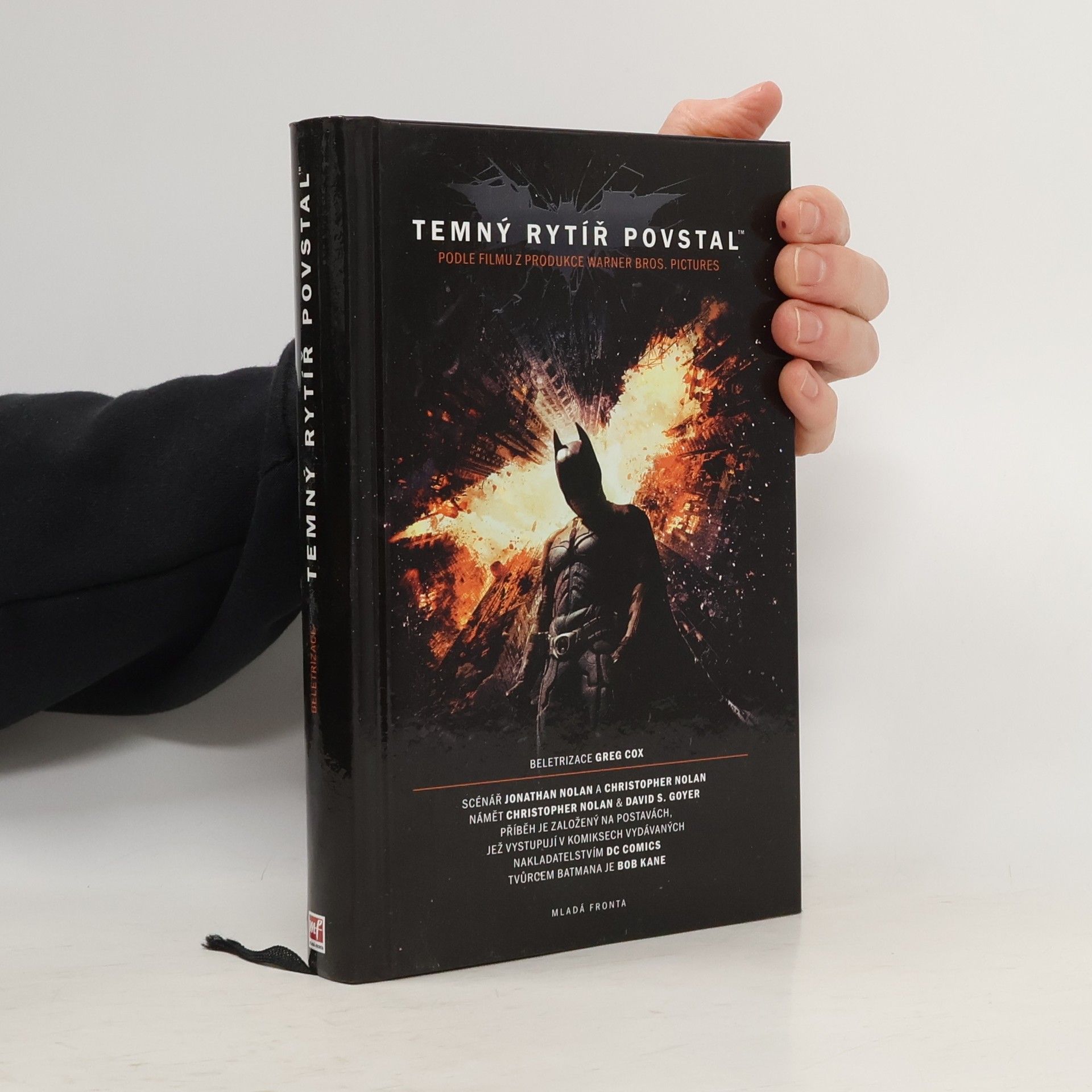 David S. Goyer Temný rytíř povstal: Oficiální beletrizace filmu