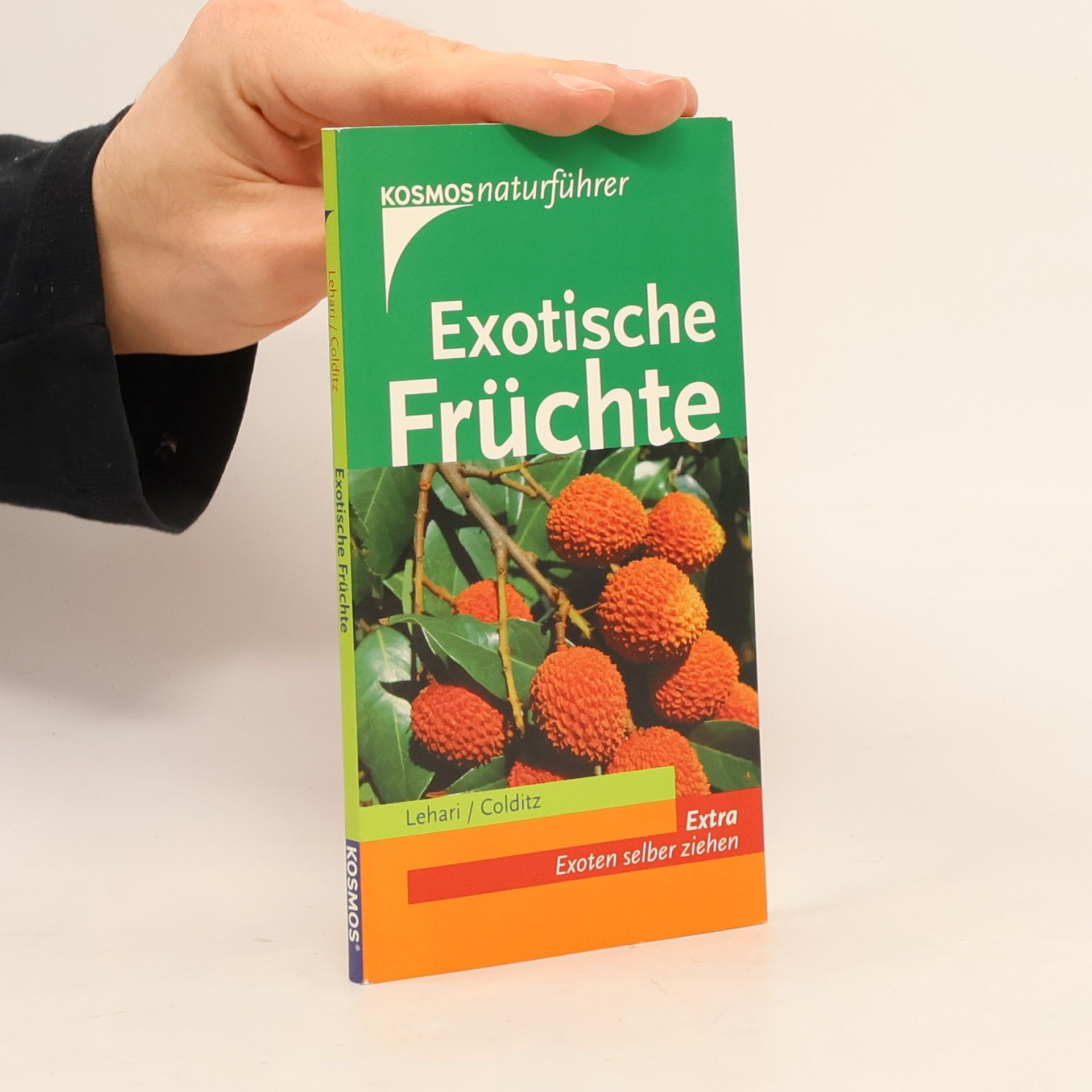 Gabriele Koldic Exotische Früchte