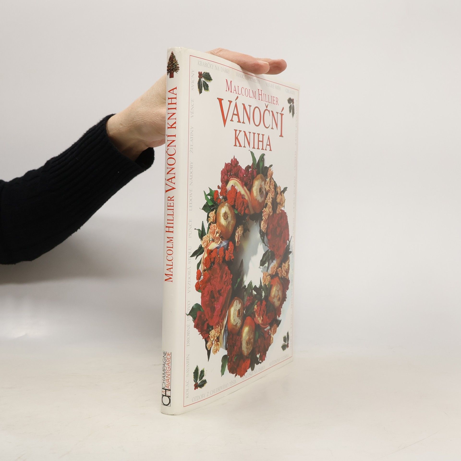 Malcolm Hillier Vánoční kniha