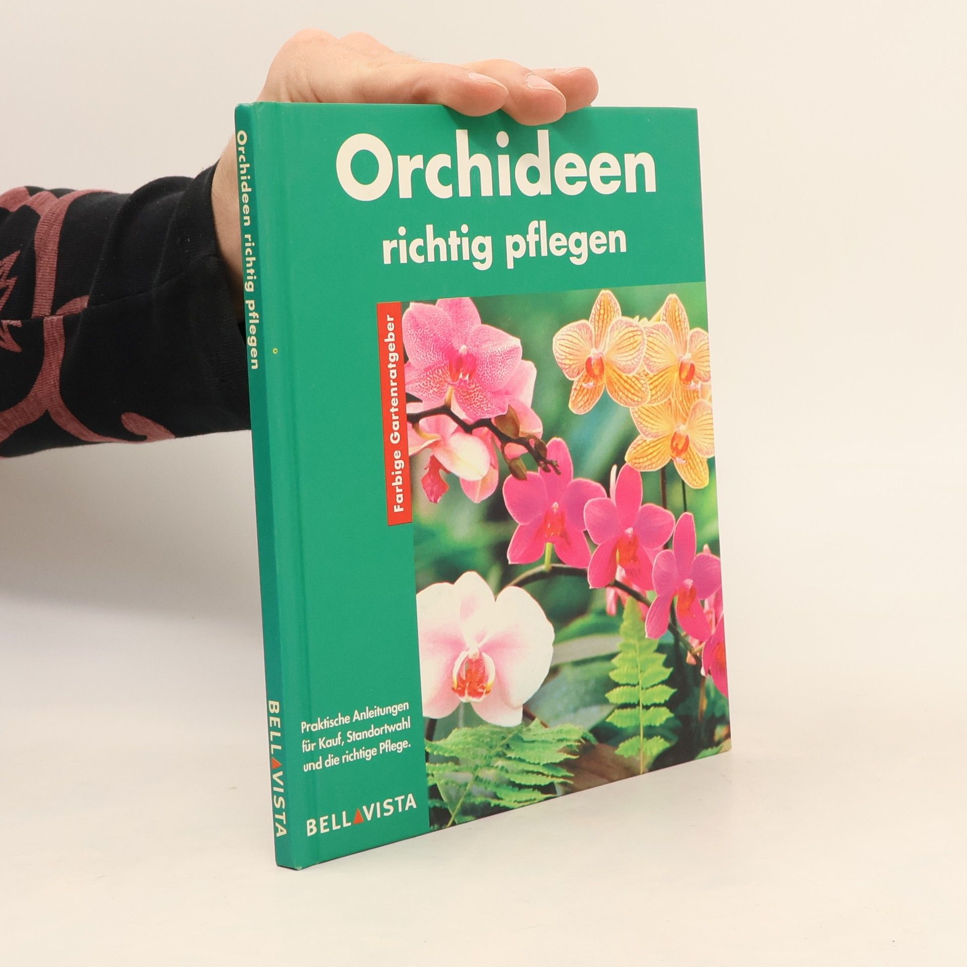 Frank Rolke Orchideen