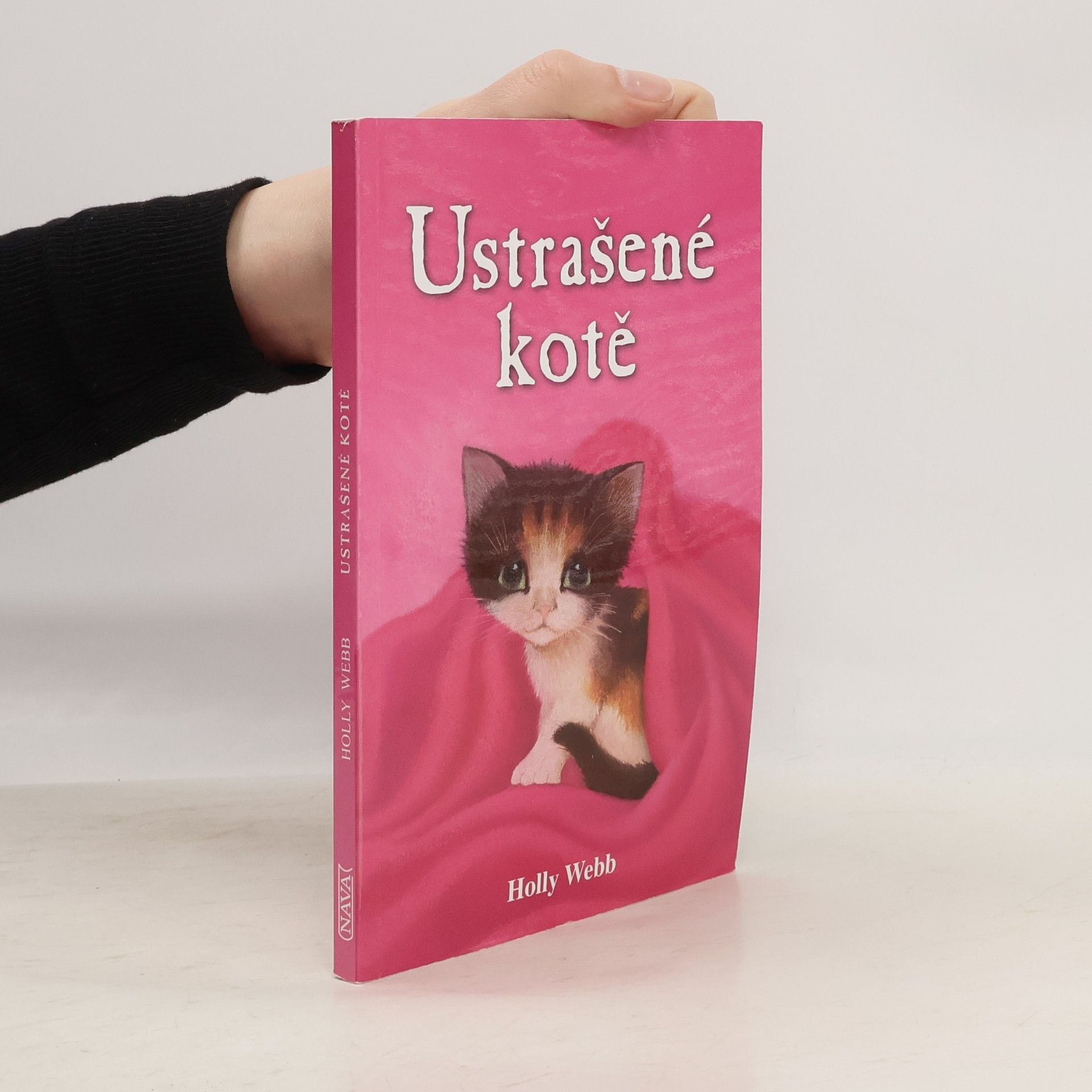 Holly Webb Ustrašené kotě