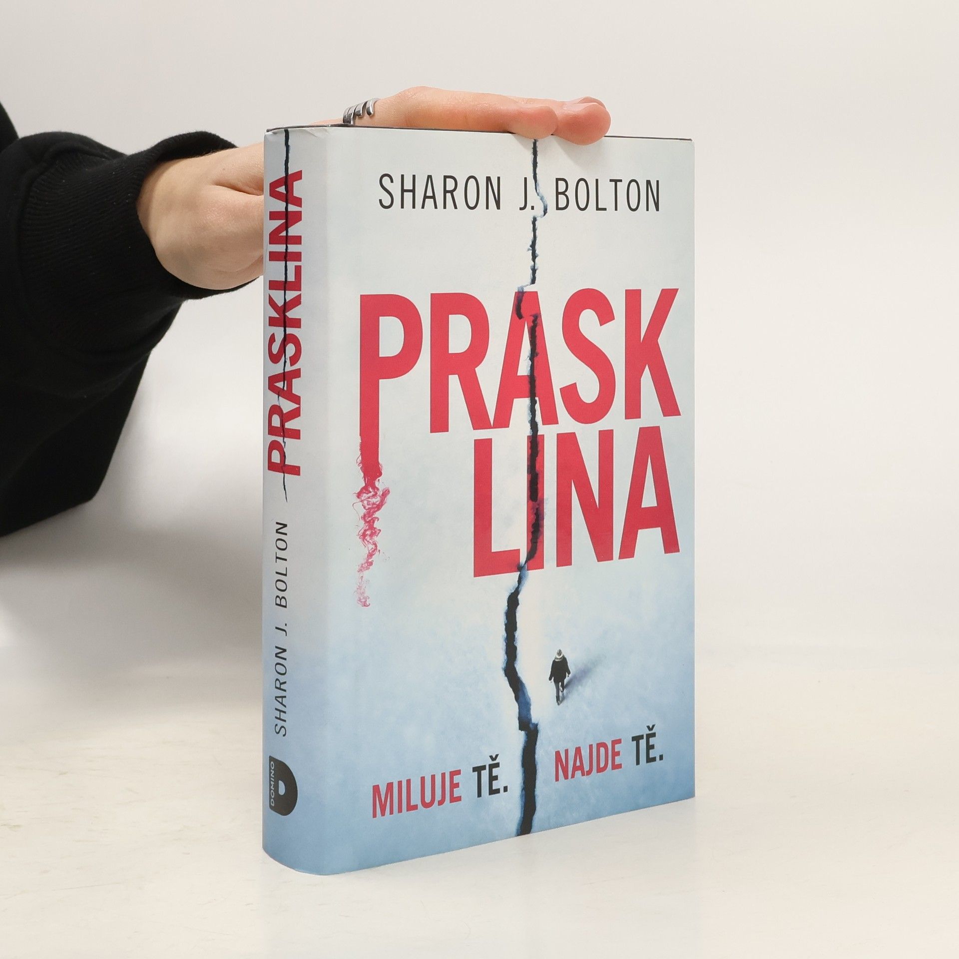 Sharon Bolton Prasklina