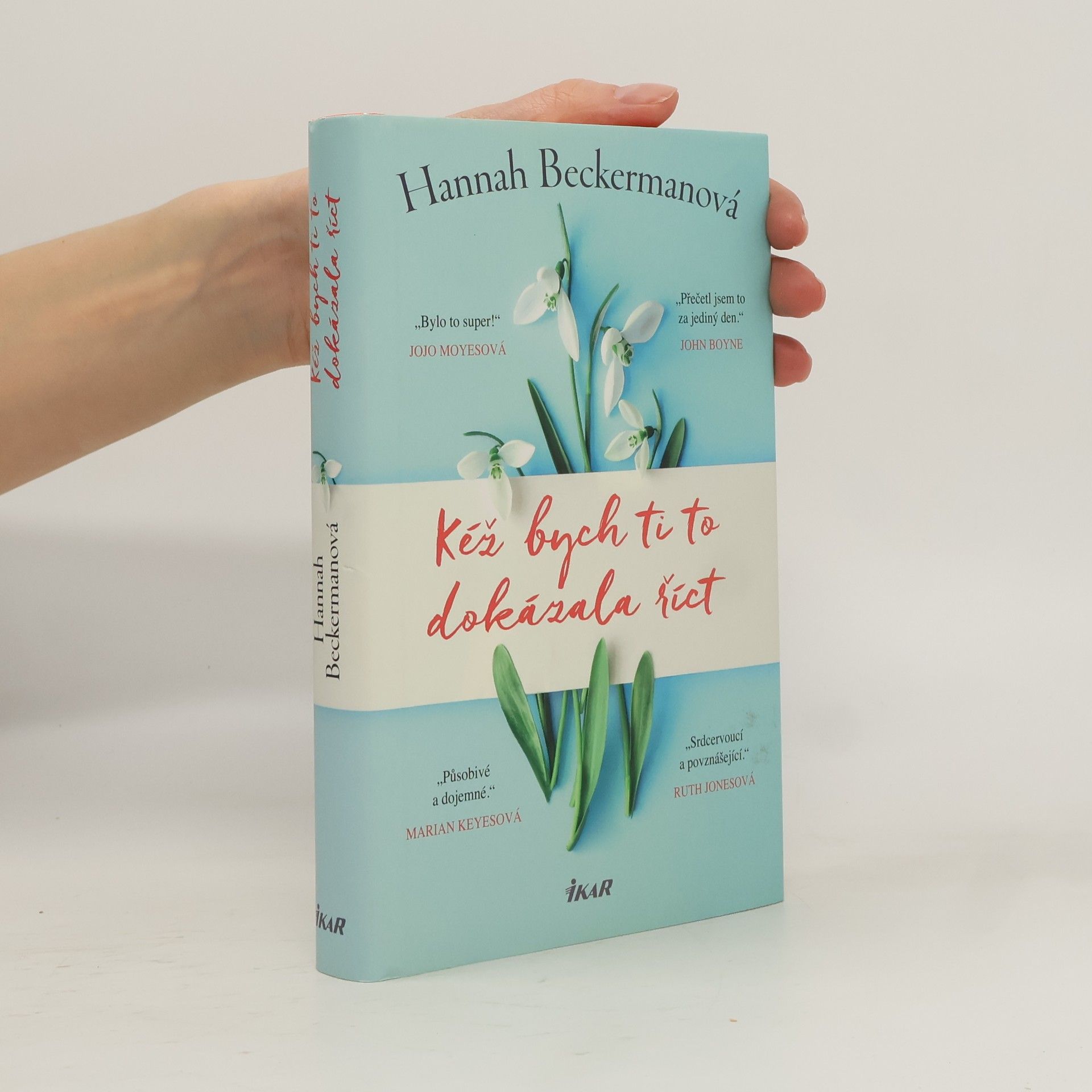 Hannah Beckerman Kéž bych ti to dokázala říct