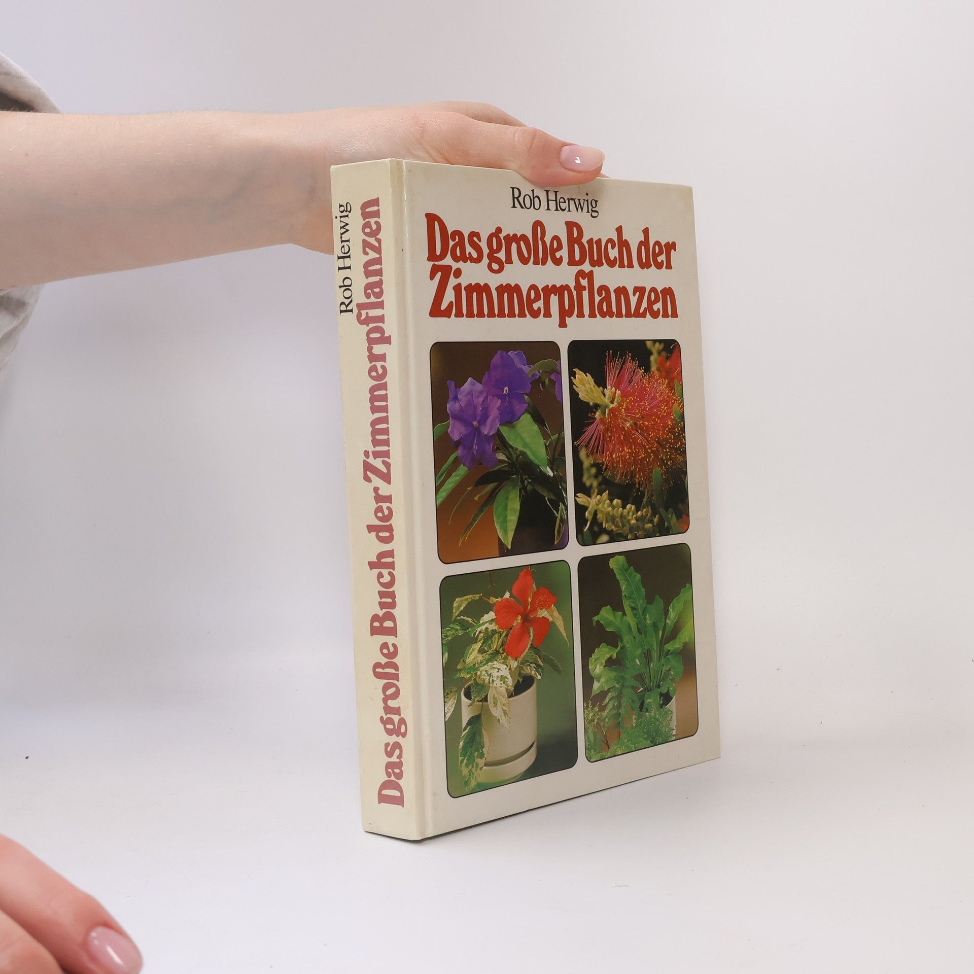 AA.VV. Das große Buch der Zimmerpflanzen