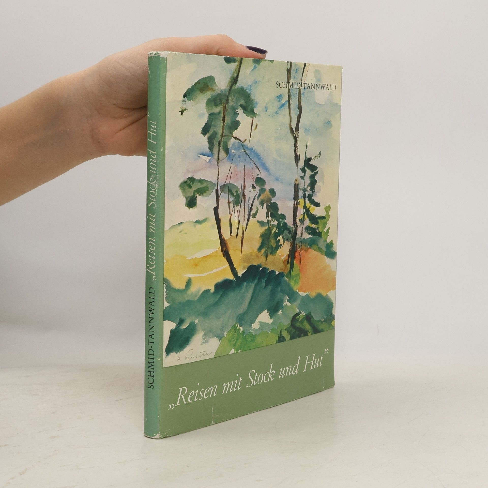 Karl Schmid Tannwald Reisen mit Stock und Hut