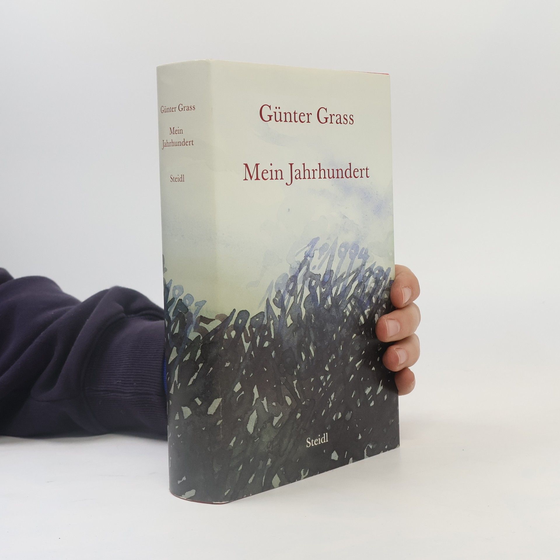 Günter Grass Mein Jahrhundert