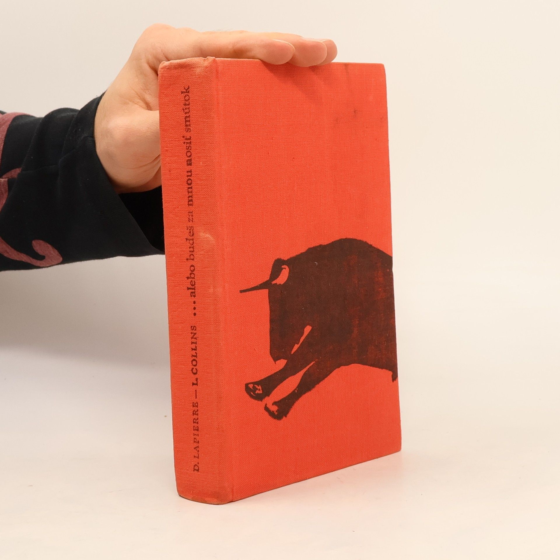 Dominique Lapierre ... alebo budeš za mnou nosiť smútok