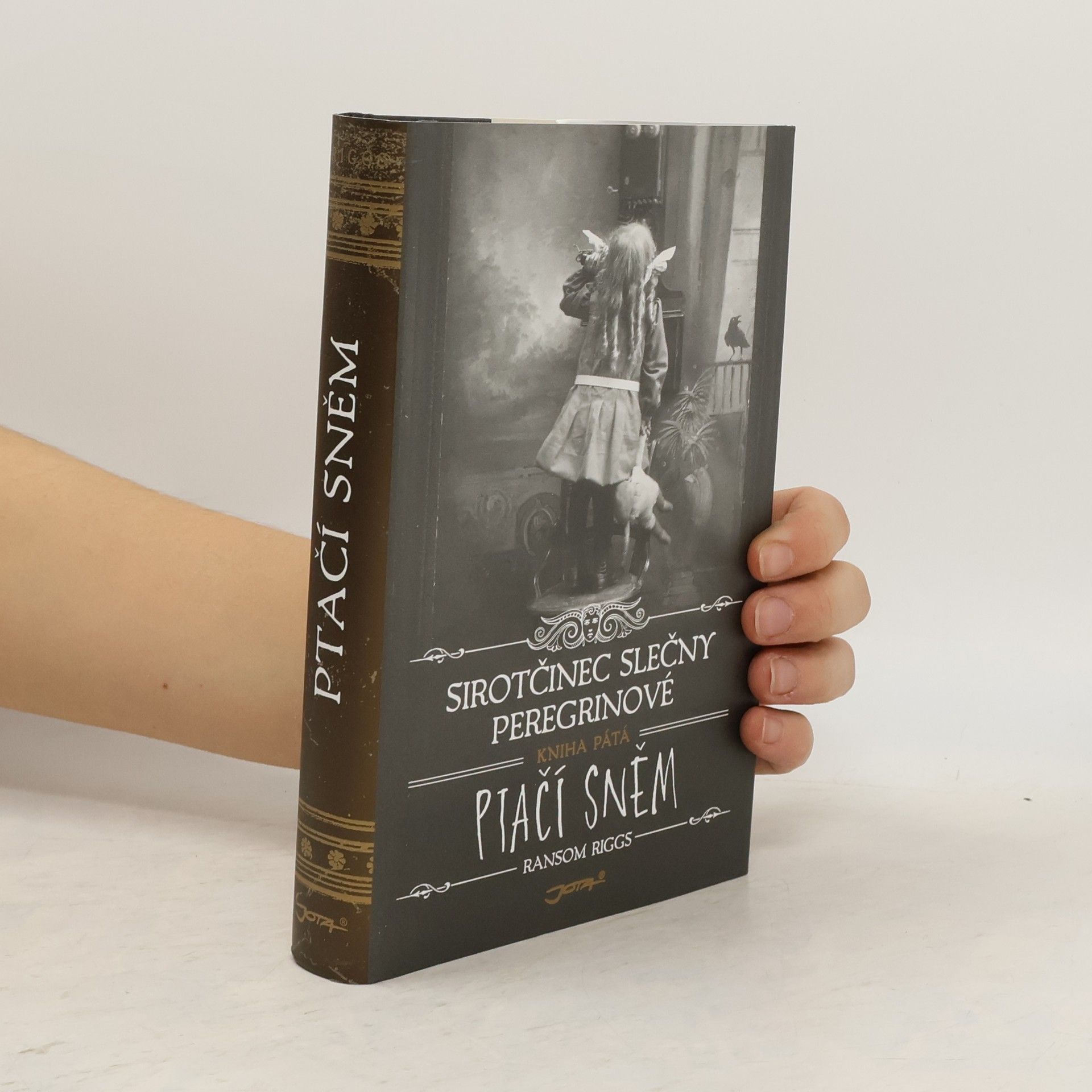 Ransom Riggs Ptačí sněm
