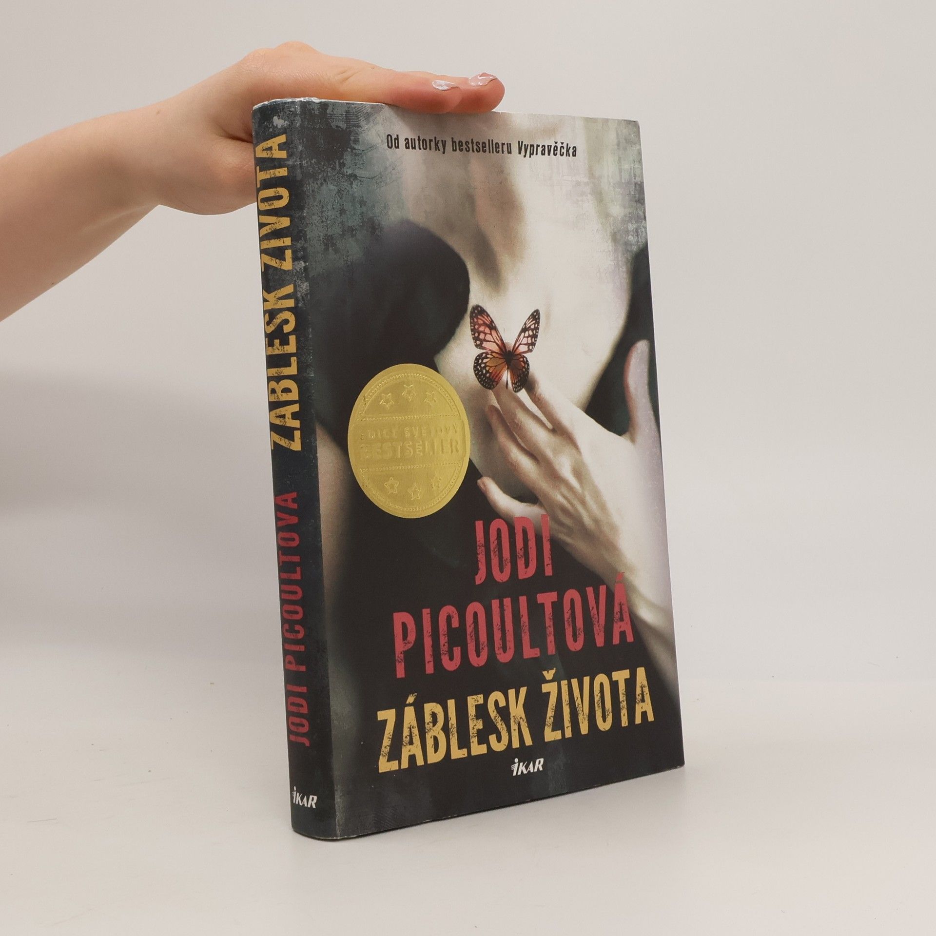 Jodi Picoult Záblesk života