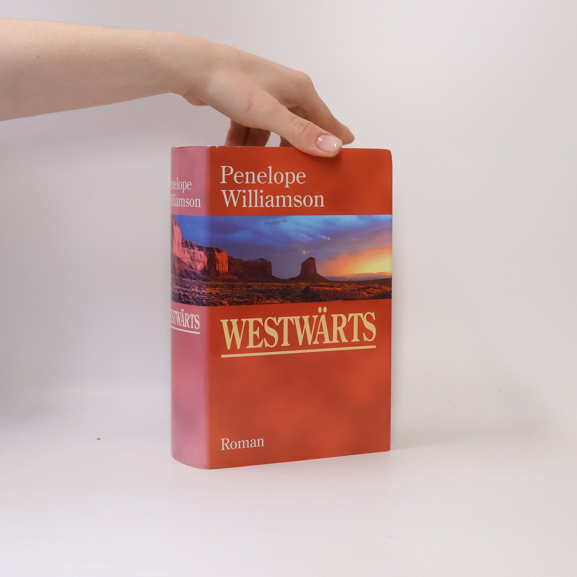 Penelope Williamson Westwärts