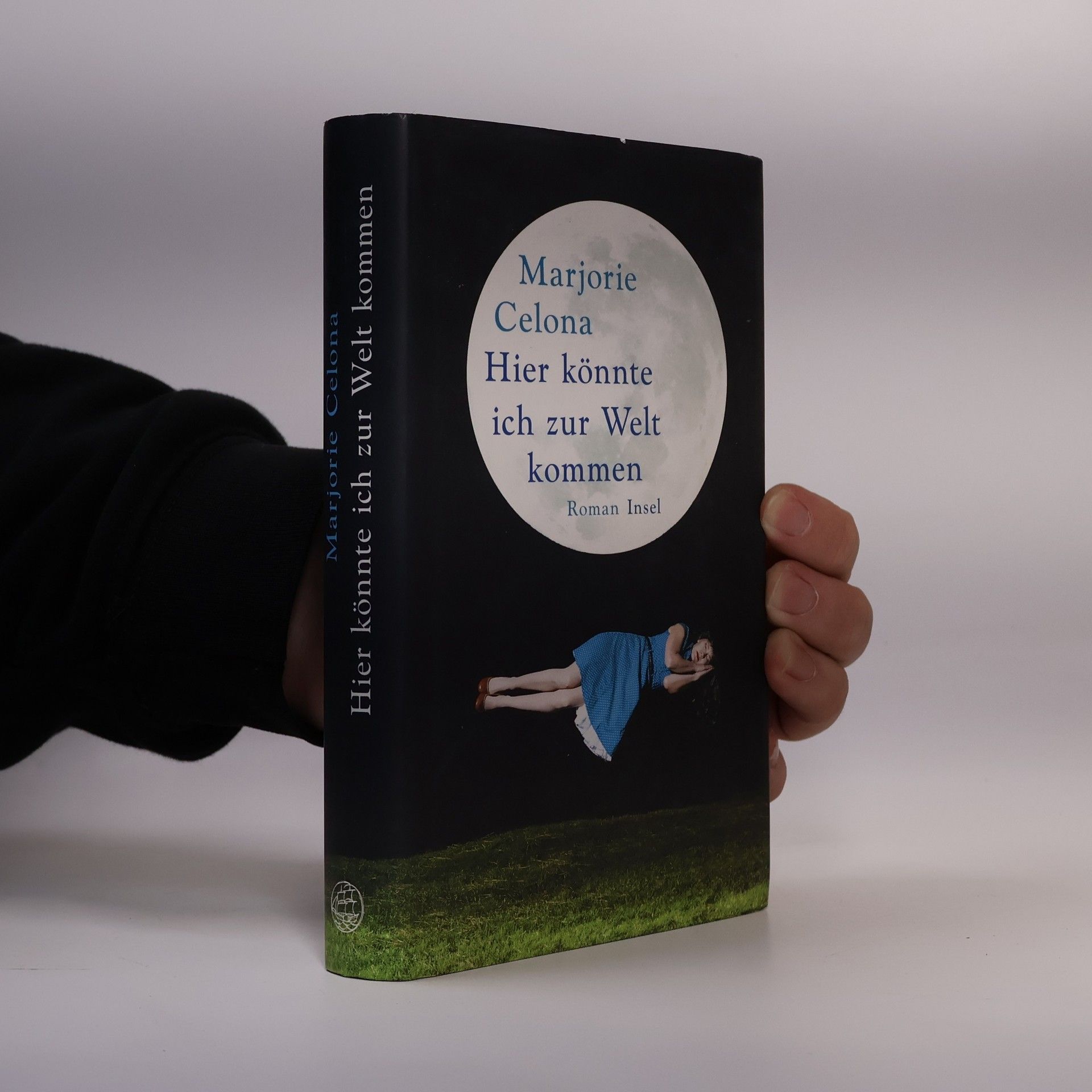 Marjorie Celona Hier könnte ich zur Welt kommen