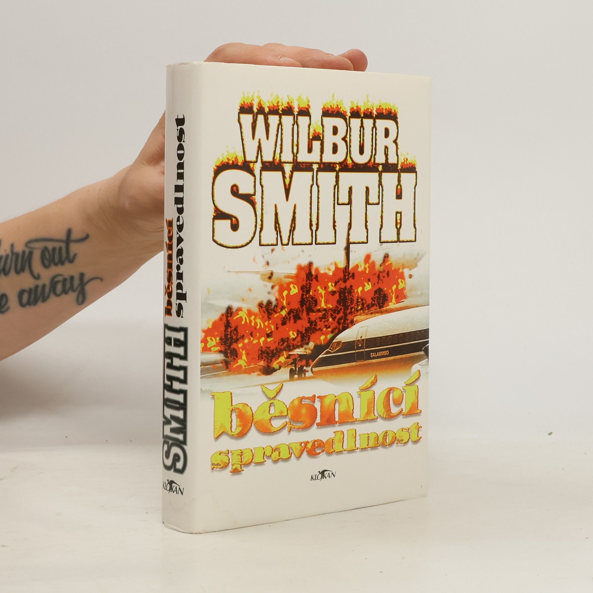 Wilbur A. Smith Běsnící spravedlnost