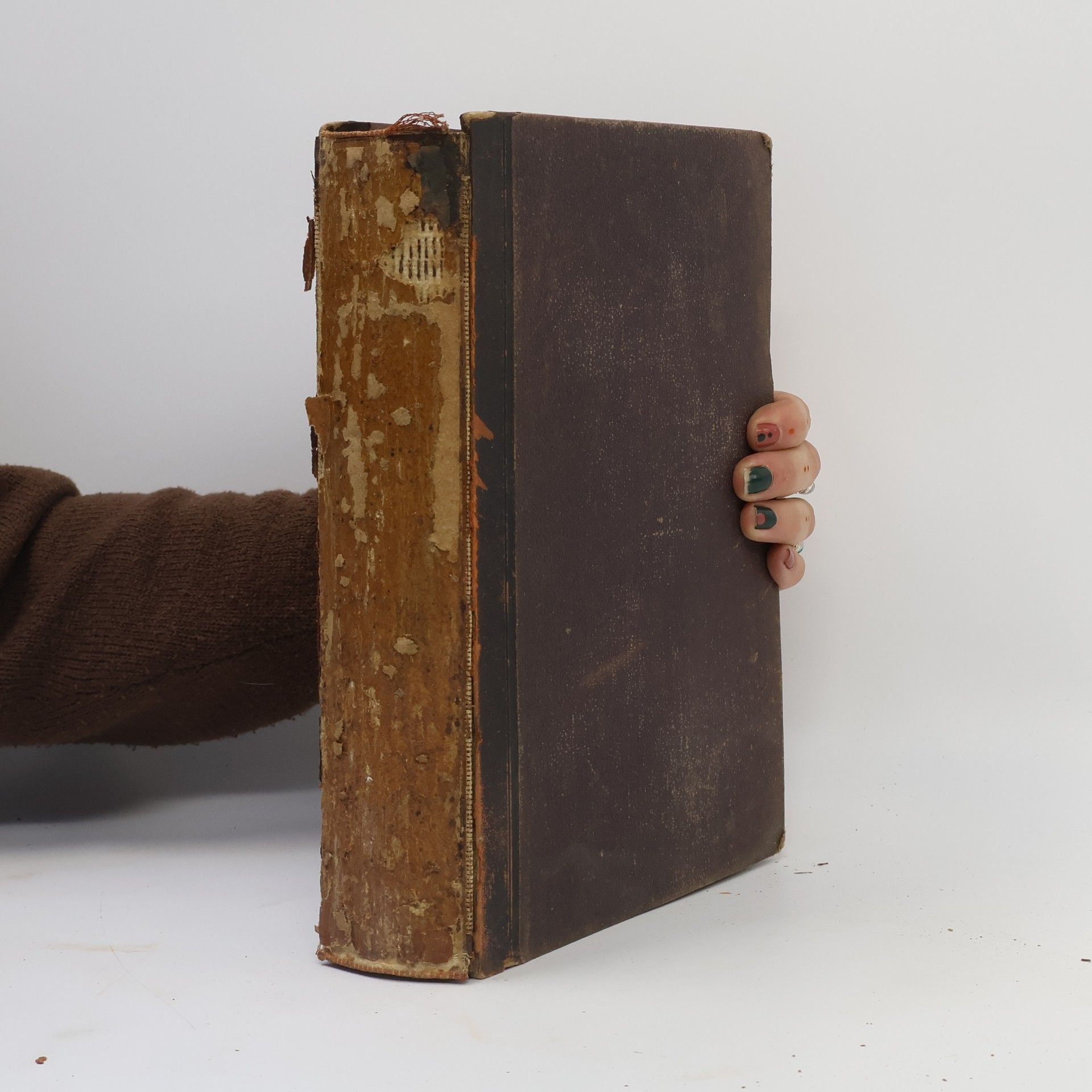 Autorenkollektiv Brockhaus' Conversations-Lexikon 12