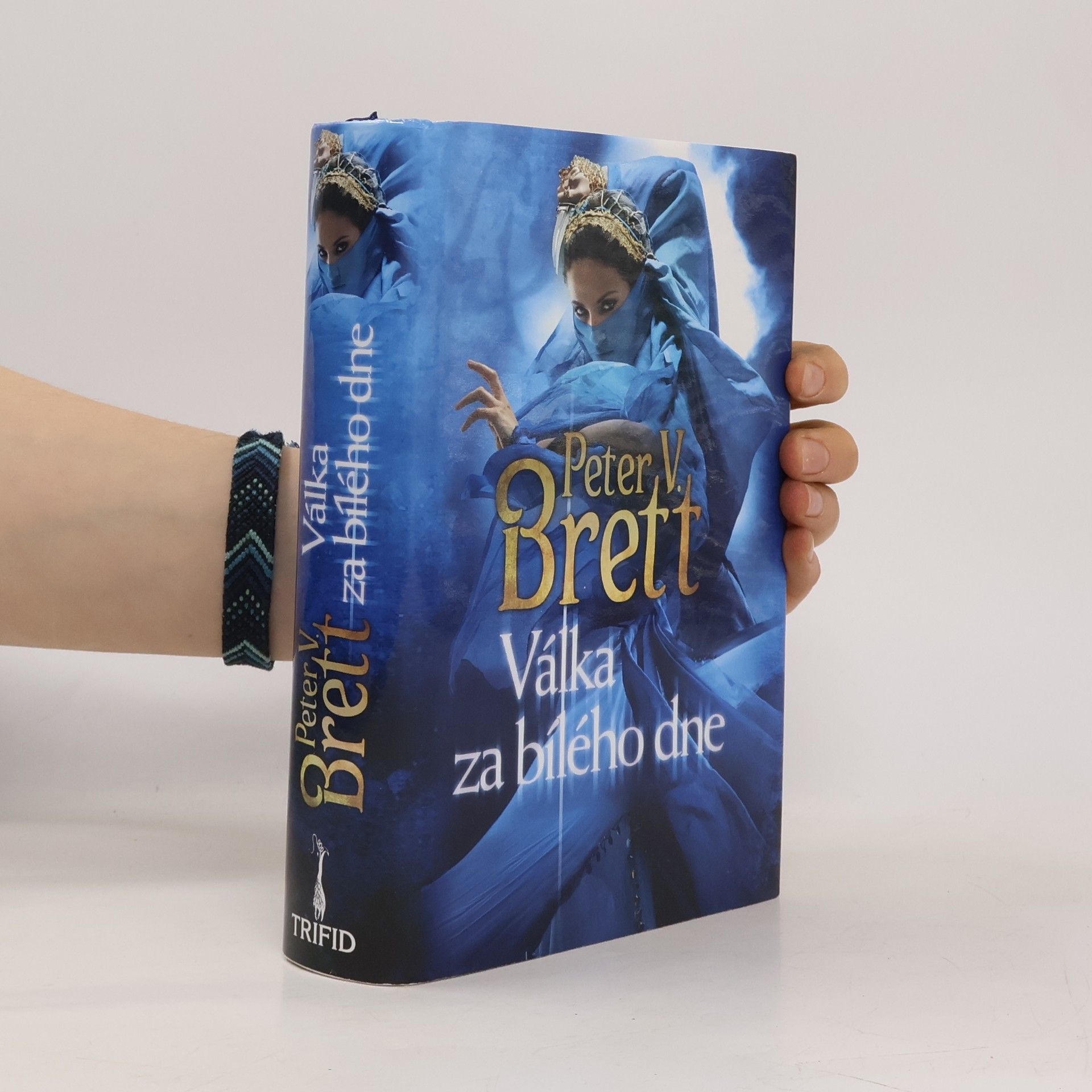 Peter V. Brett Válka za bílého dne
