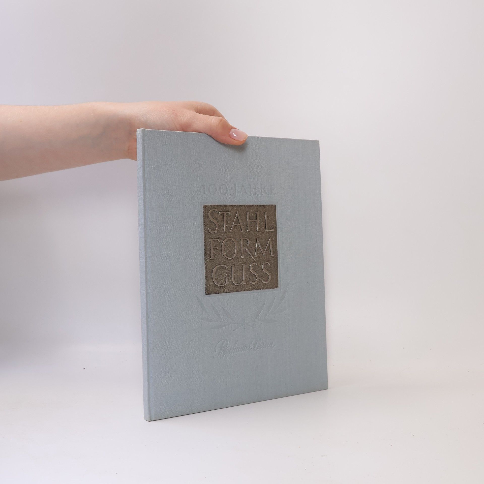 Kolektiv autorů 100 Jahre Stahl Form Guss