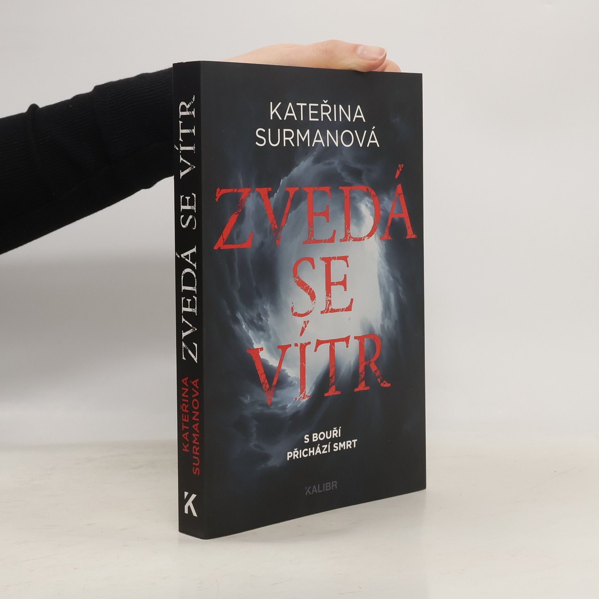 Kateřina Surmanová Zvedá se vítr