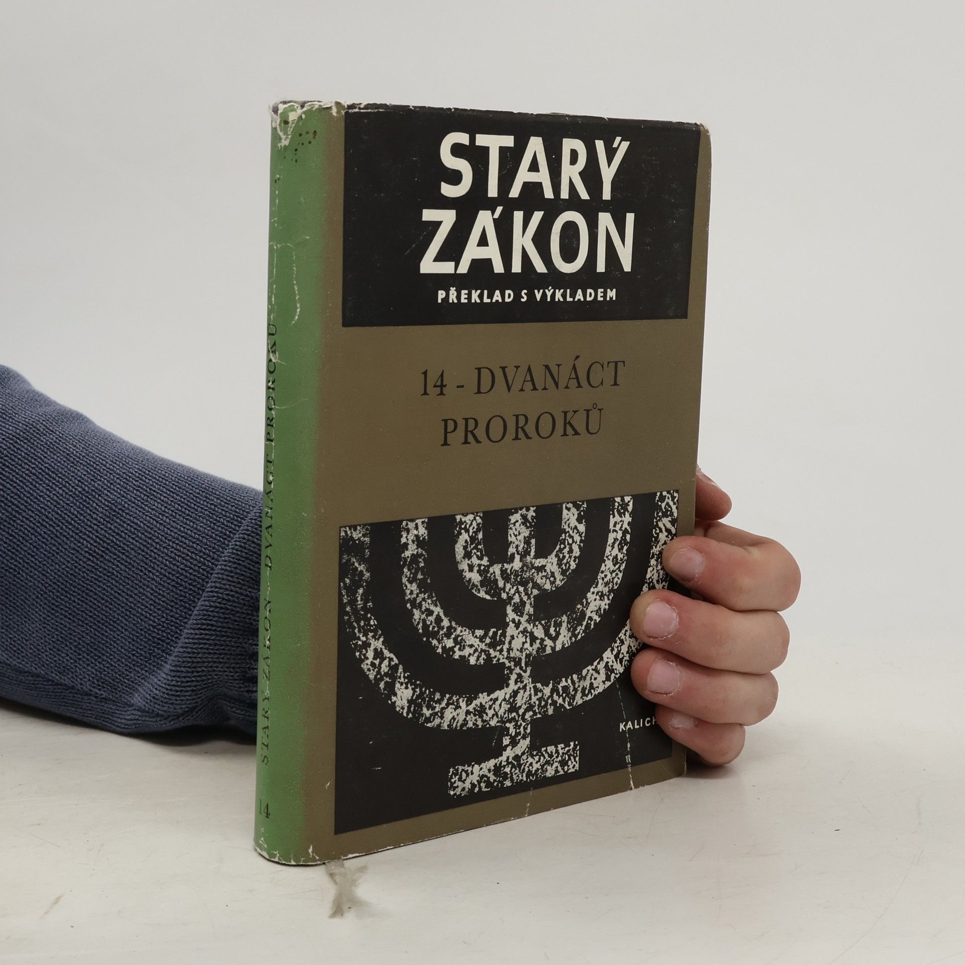 Kolektiv autorů Starý zákon. Dvanáct proroků