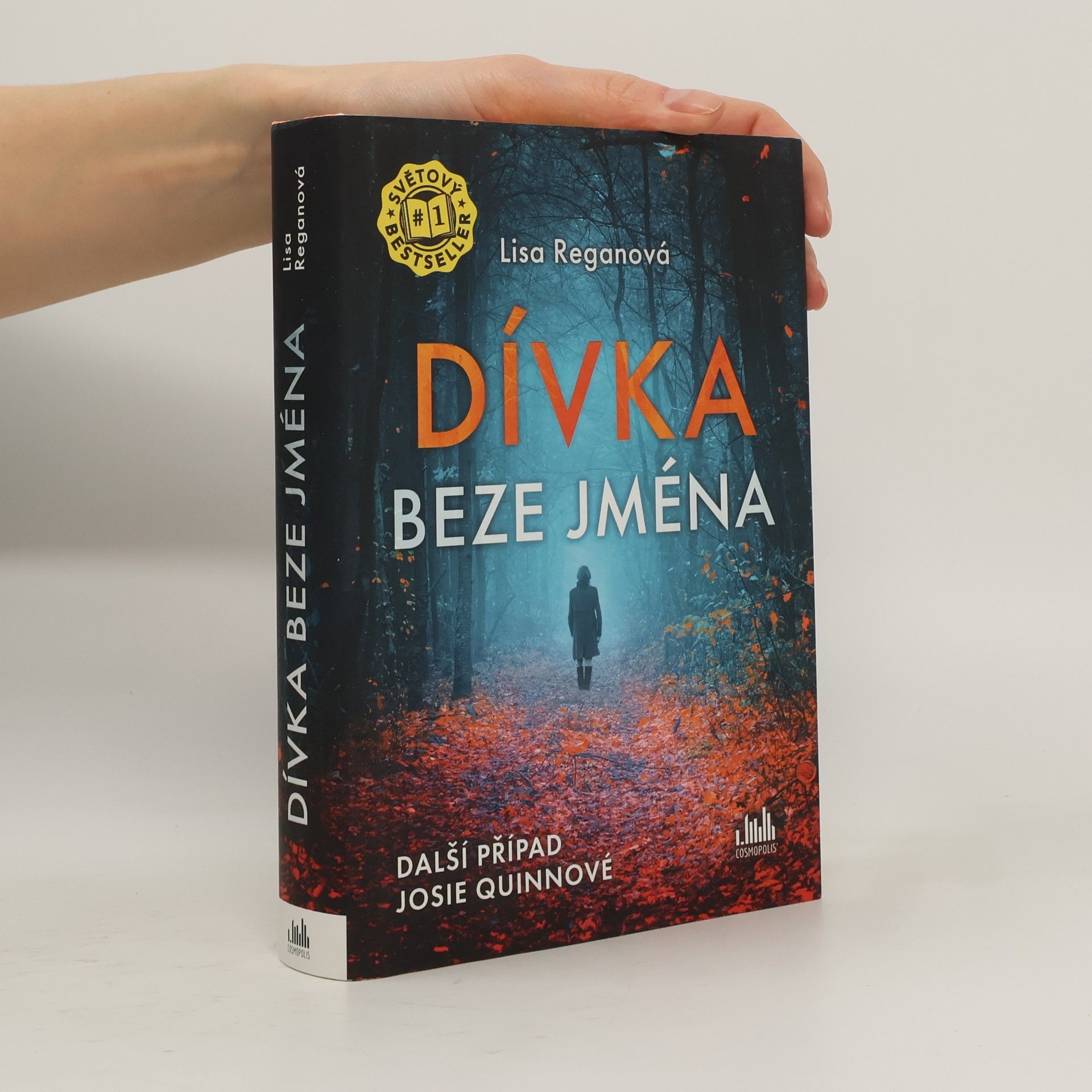 Lisa Regan Dívka beze jména: Další případ Josie Quinnové