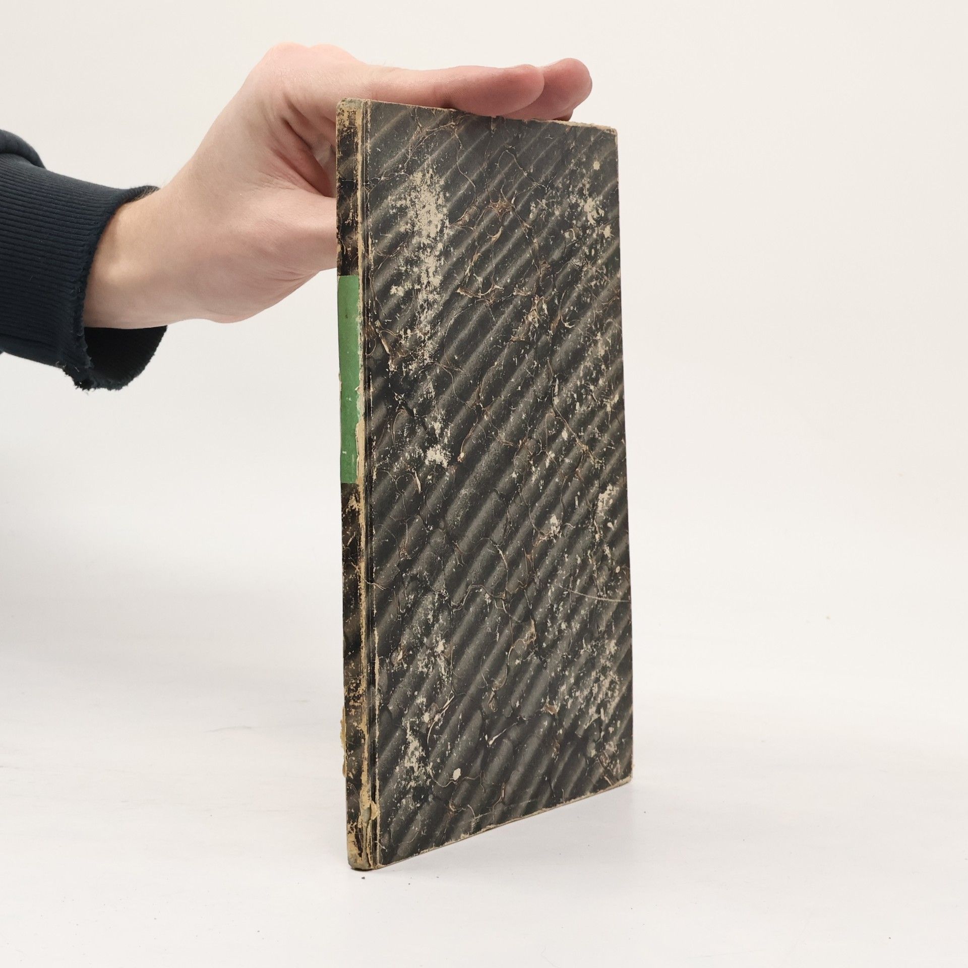 Das Leben des Agricola