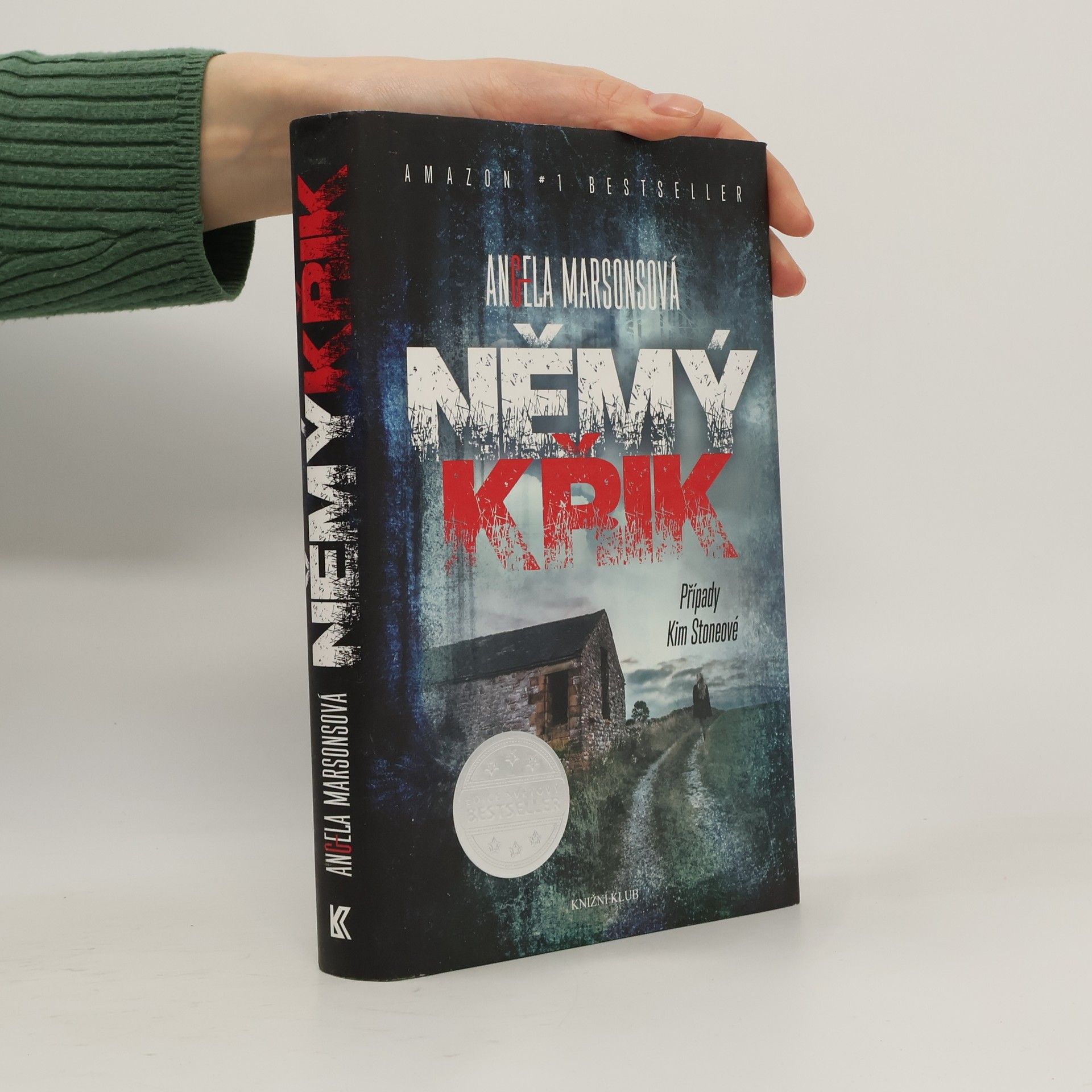 Angela Marsons Němý křik