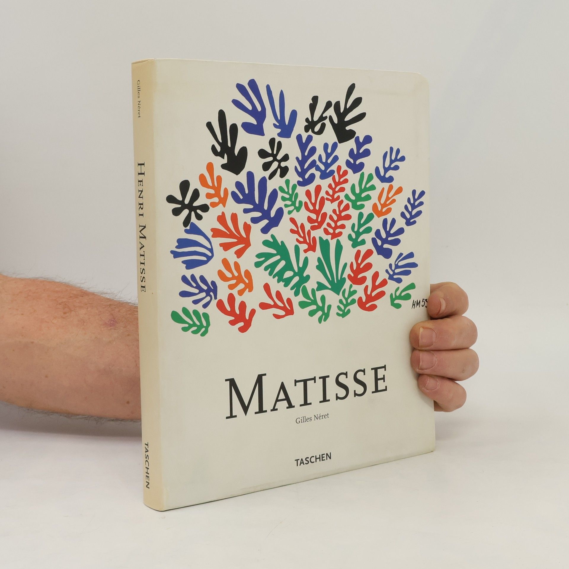Gilles Néret Mattise
