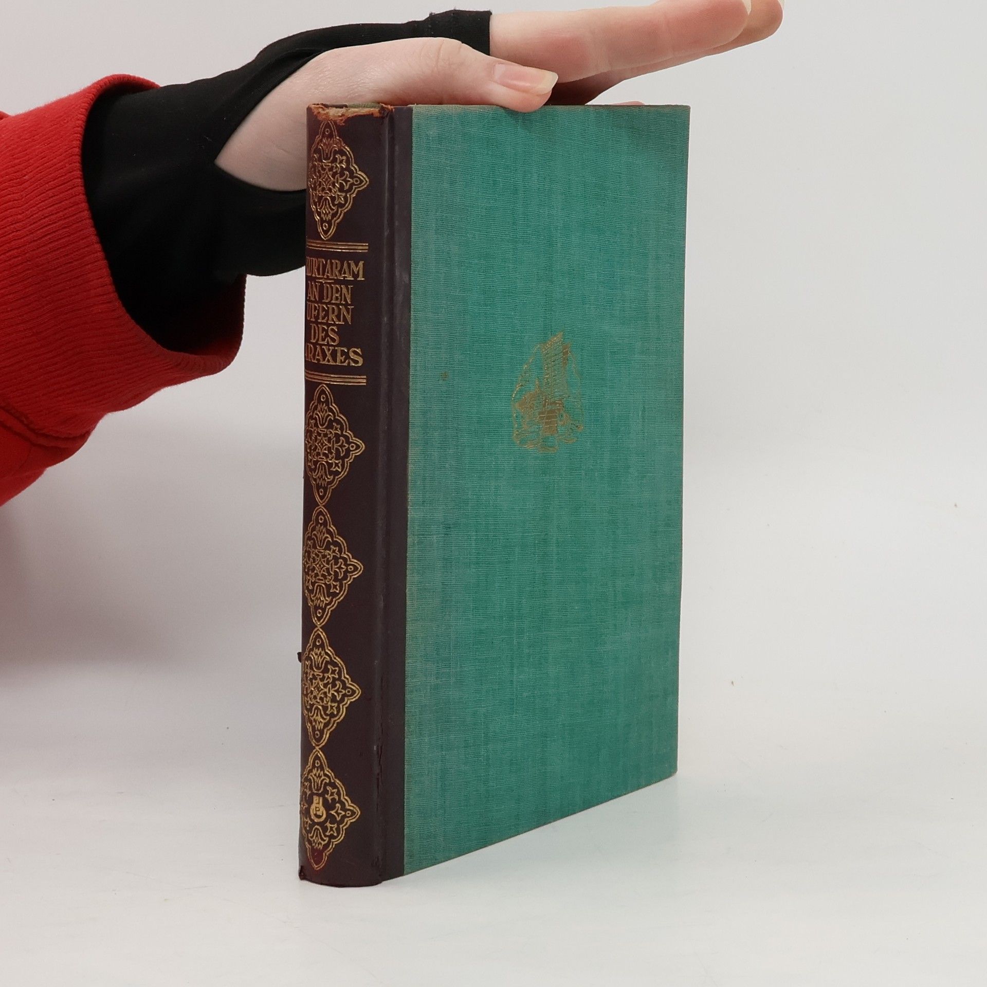 Kurt Aram An den Ufern des Araxes