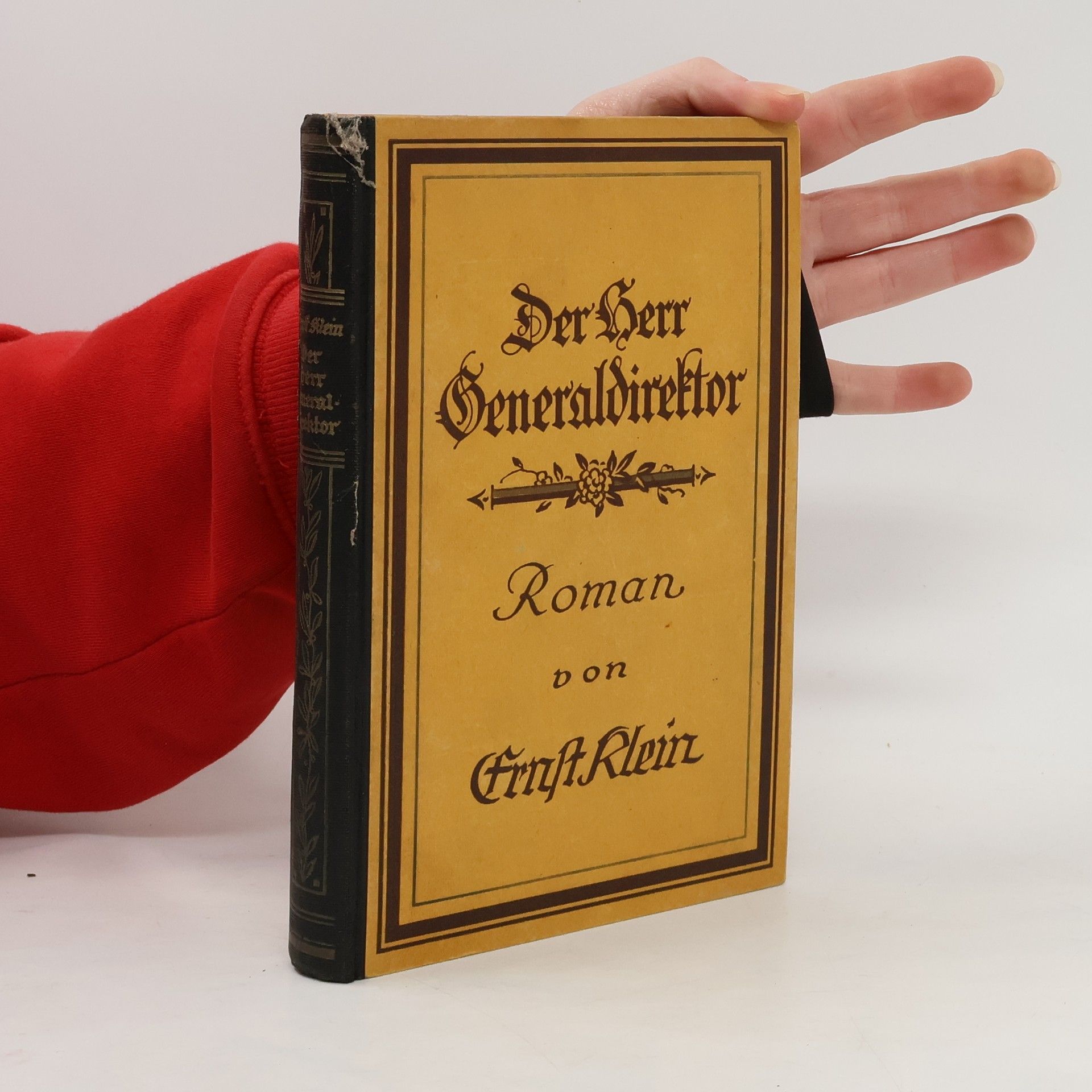 Ernst Klein Der Herr Generaldirektor