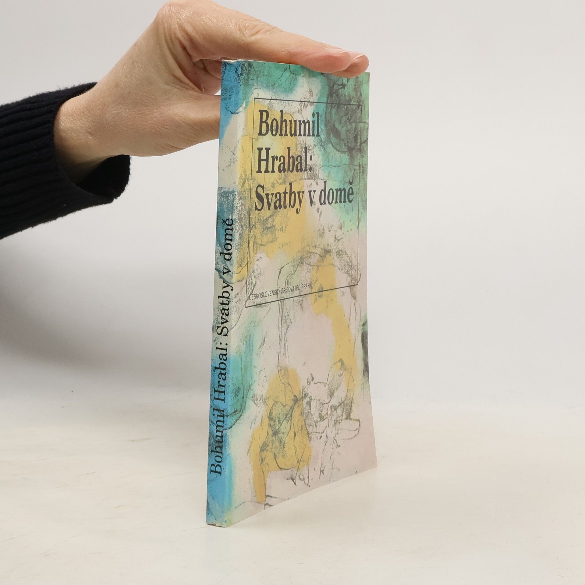 Svatby v domě. Dívčí románek. 1. díl trilogie