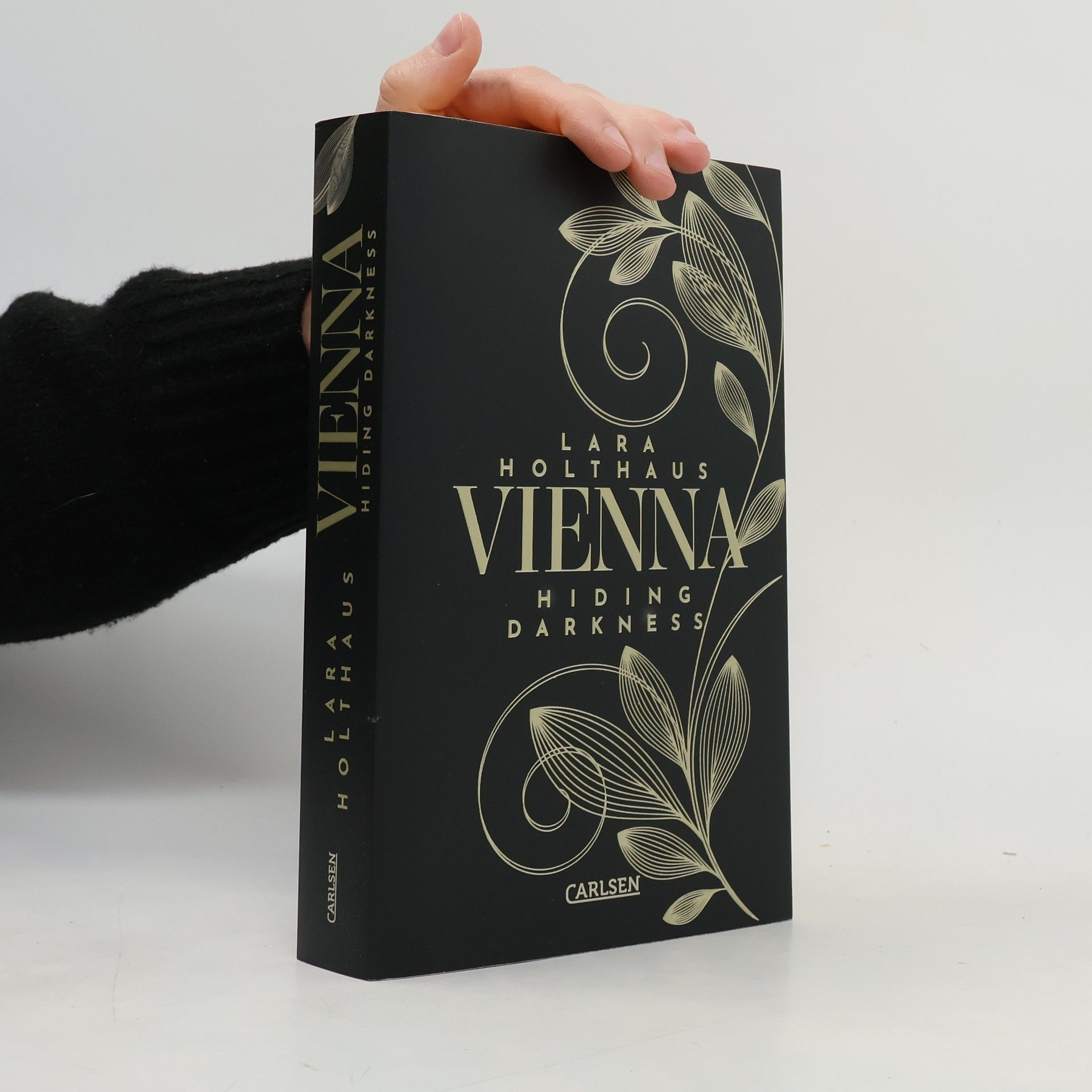 Lara Holthaus Vienna 2. Hiding Darkness