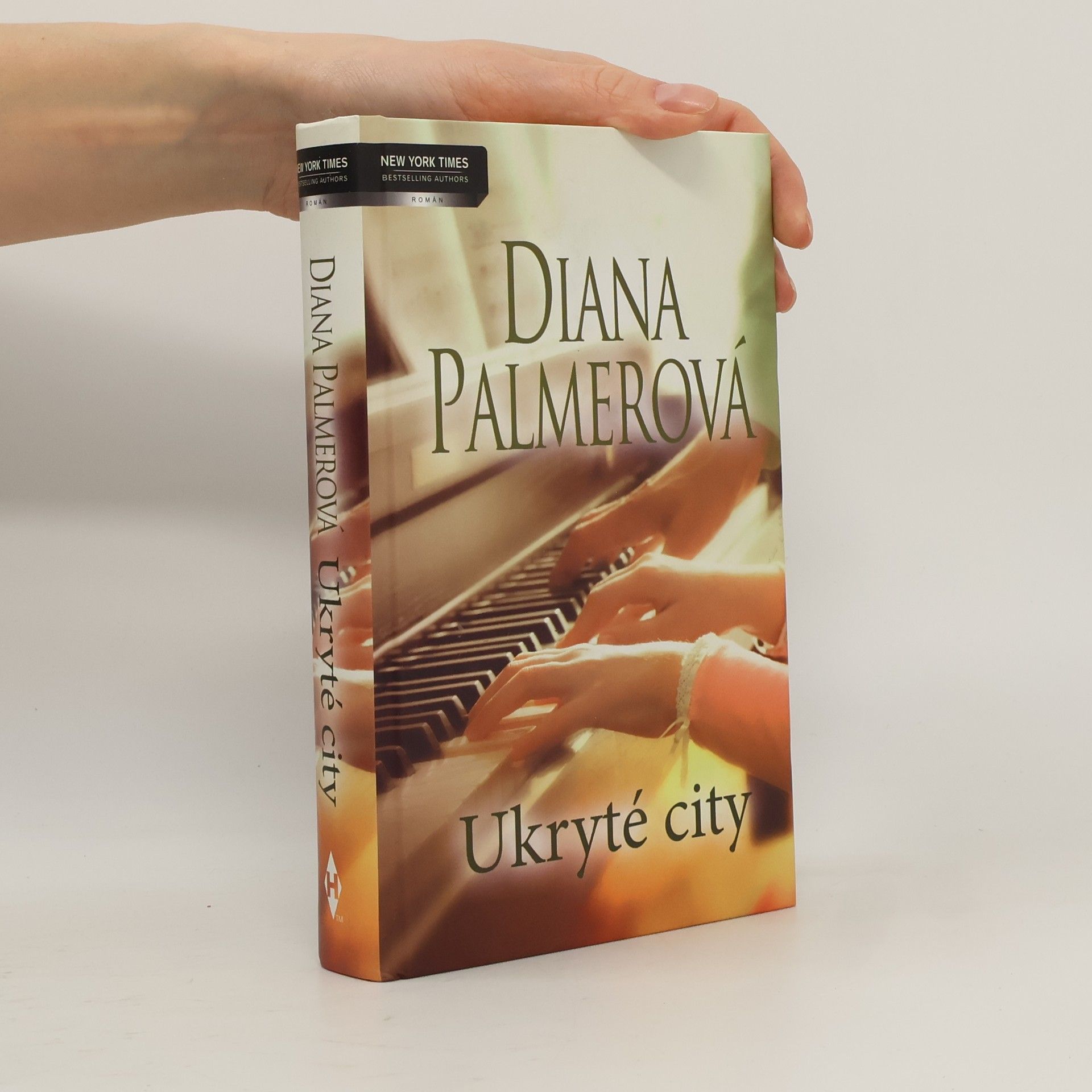 Diana Palmer Ukryté city