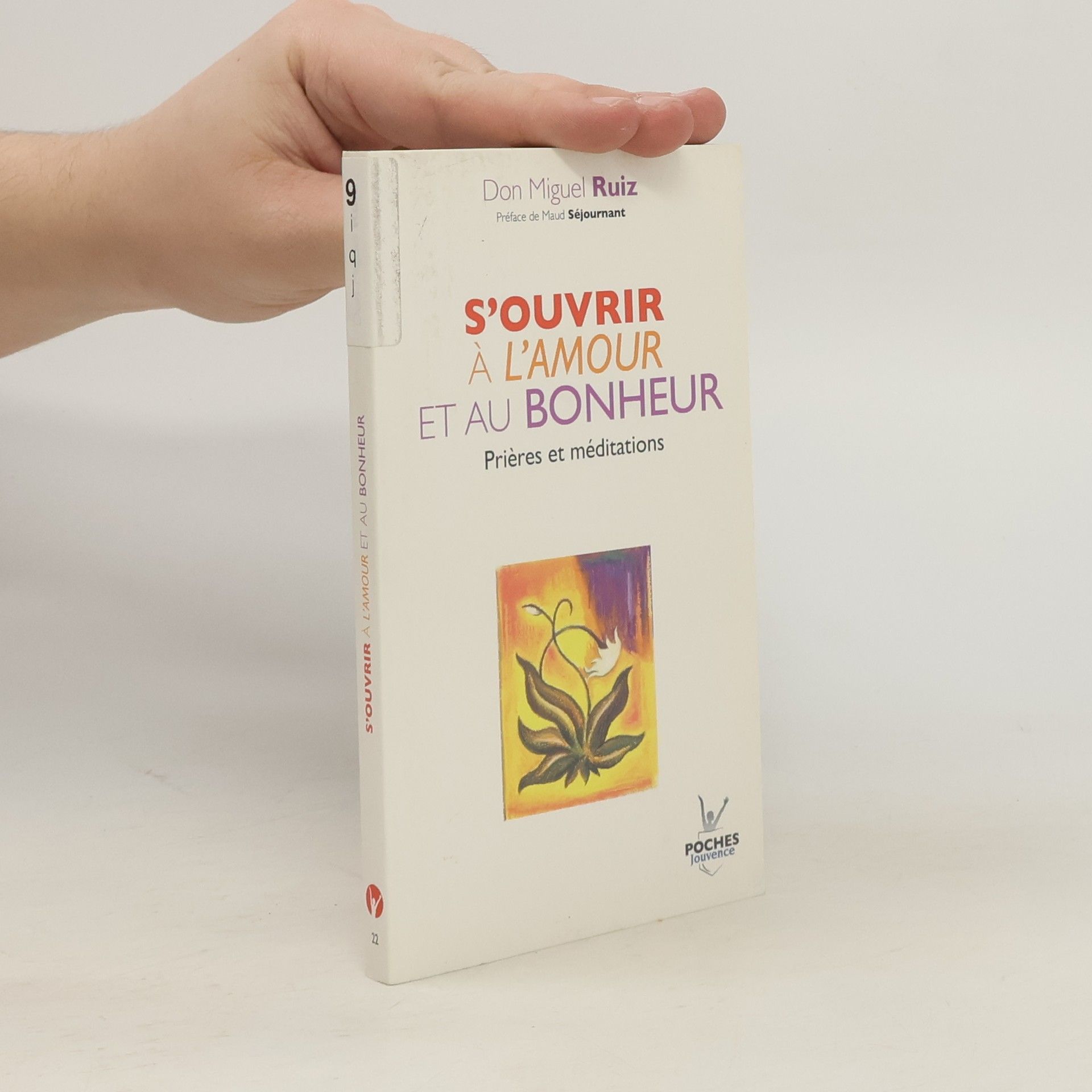 Don Miguel Ruiz S'ouvrir à l'amour et au bonheur