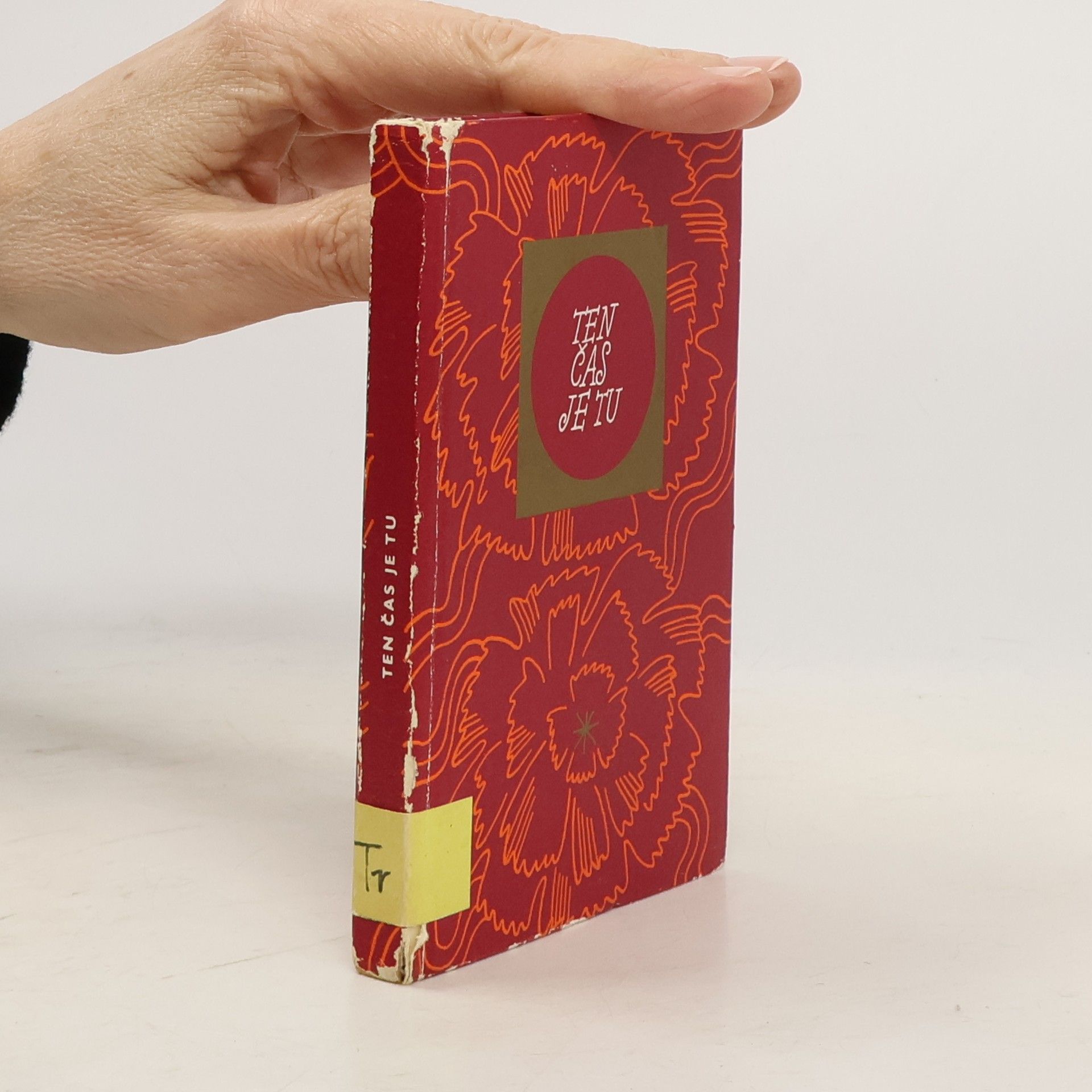 Zina Trochová Ten čas je tu